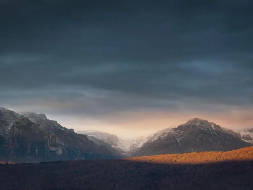 Other in Casa Ferica