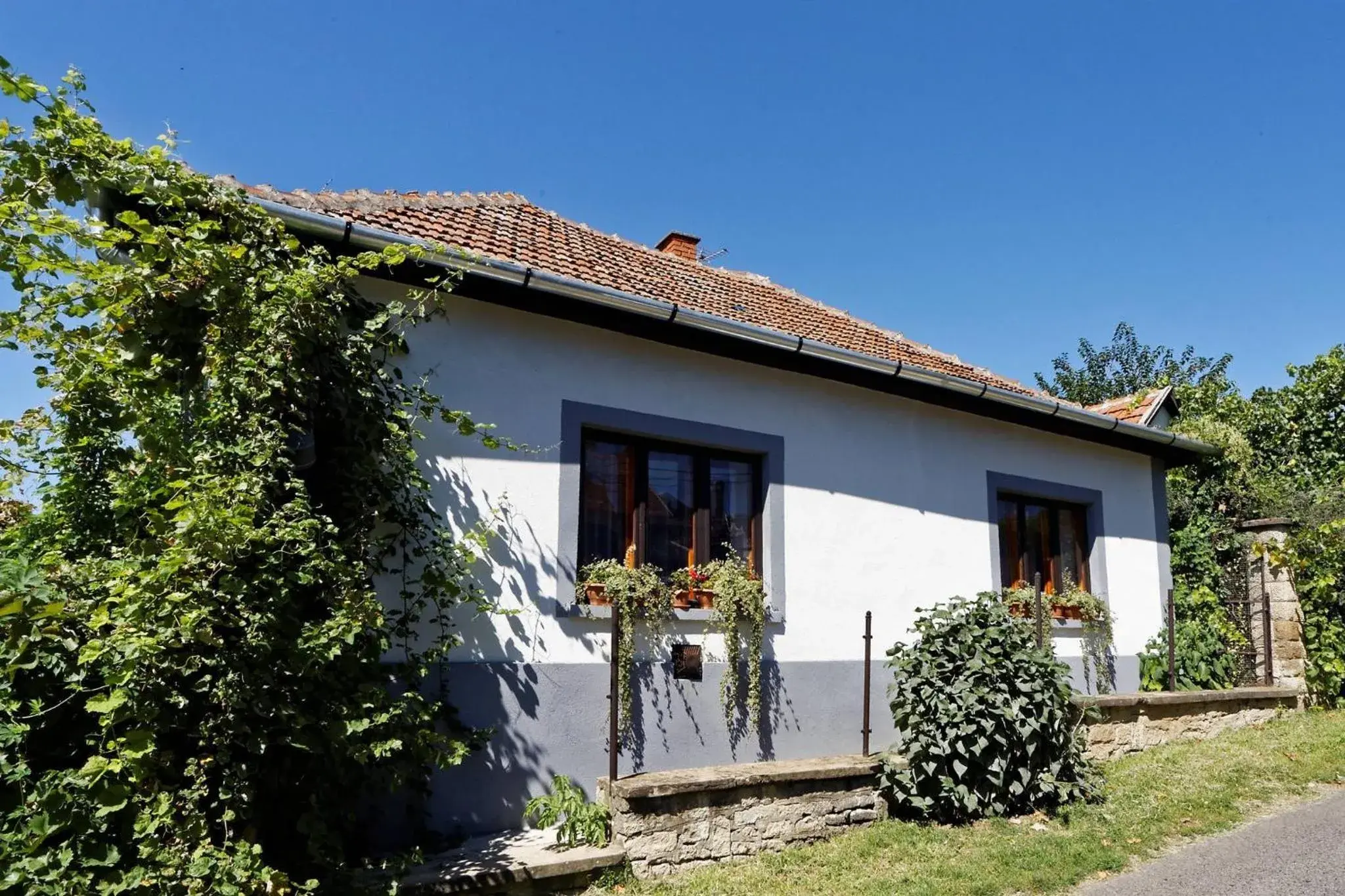 Economy Triple Room with Shared Bathroom - single occupancy in Pataky Borporta Economy Triple Room with Shared Bathroom - single occupancy in Pataky Borporta