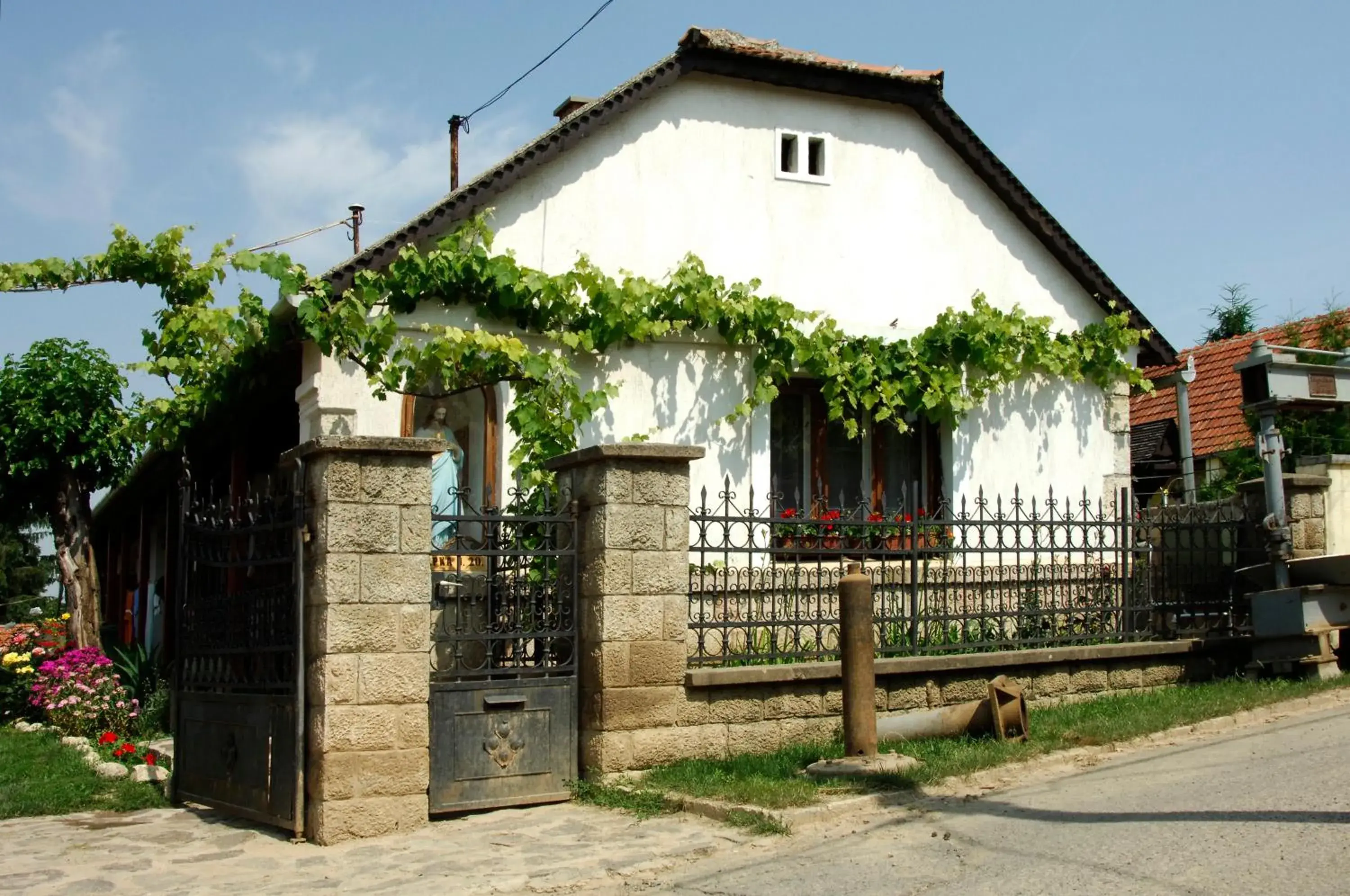 Pataky Borporta Pataky Borporta