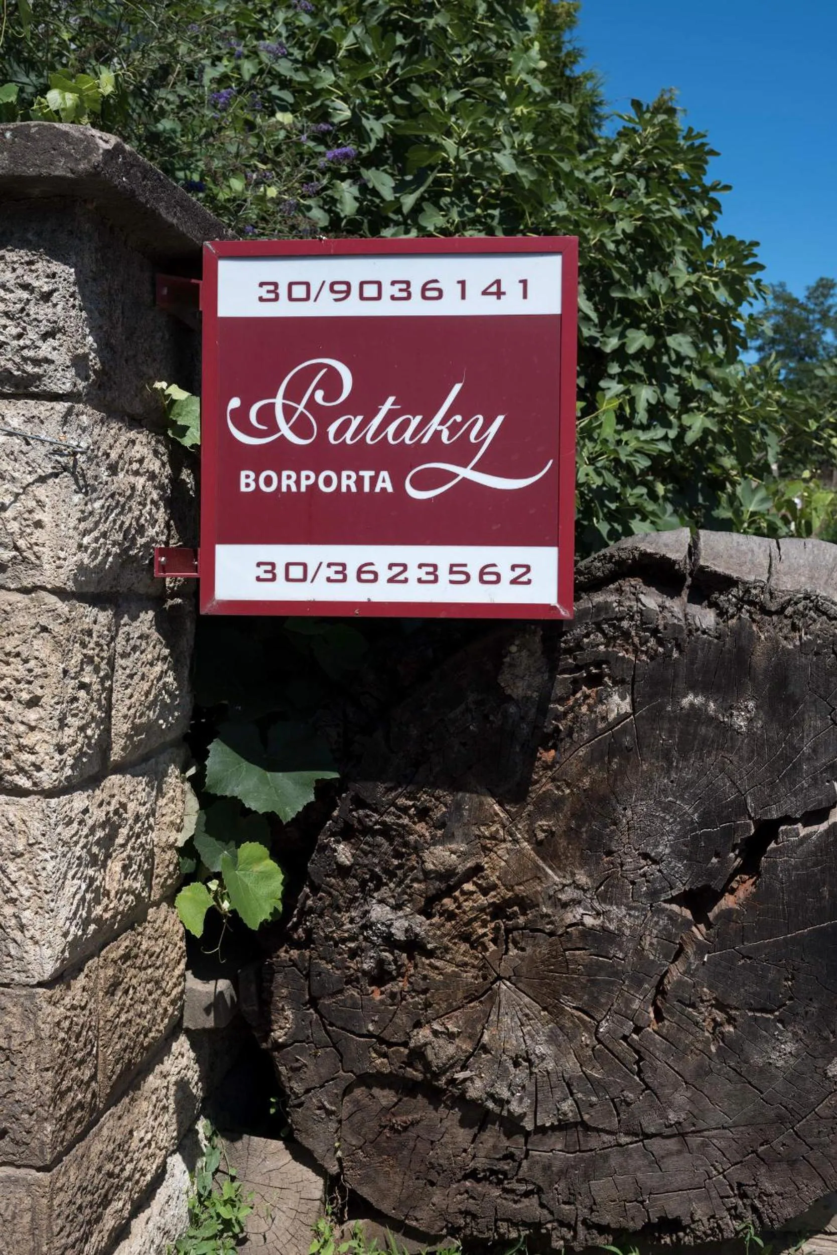 Pataky Borporta