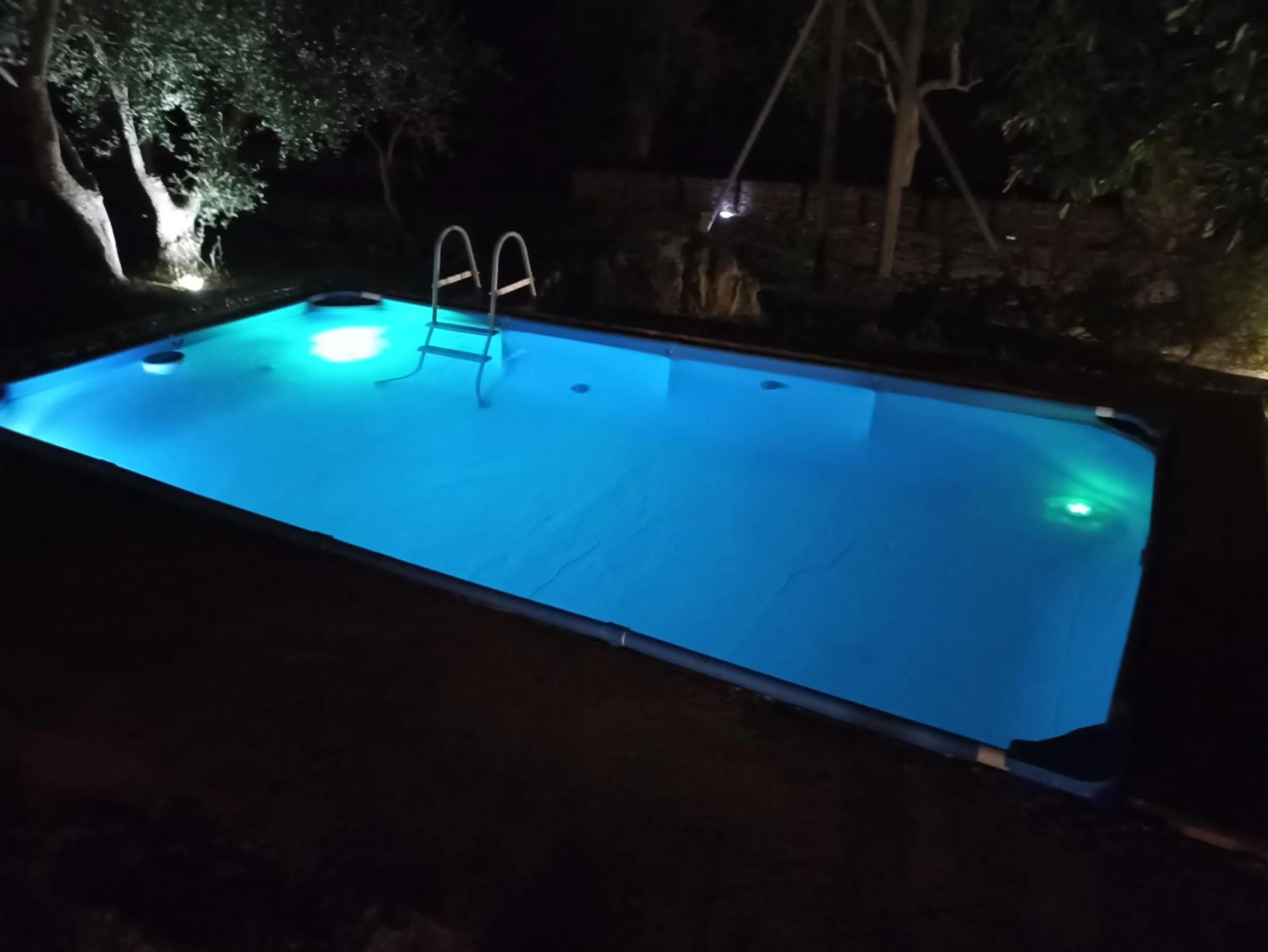 Night in La casa degli artisti