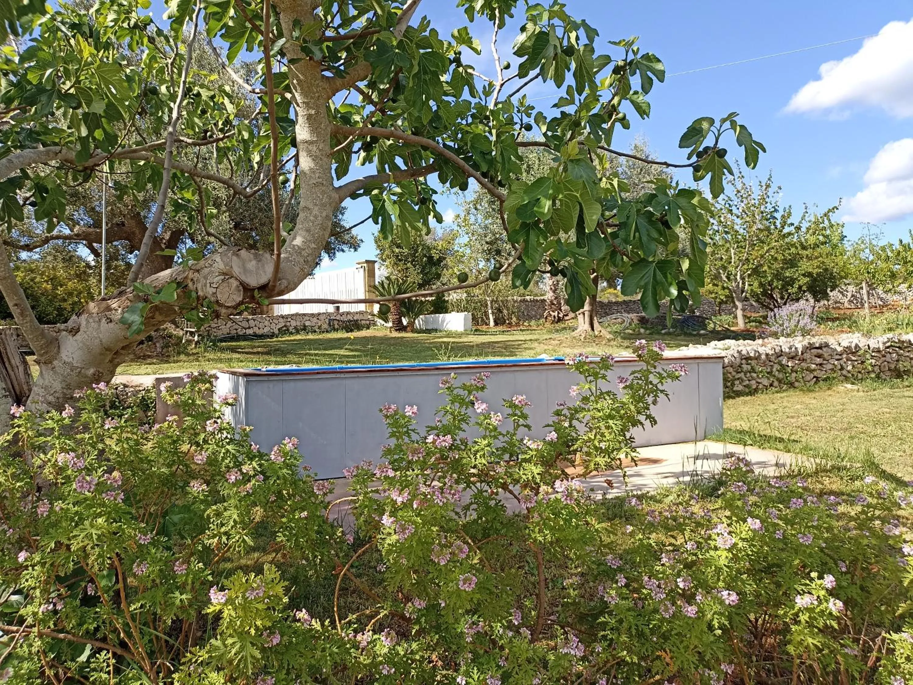 Pool view in La casa degli artisti