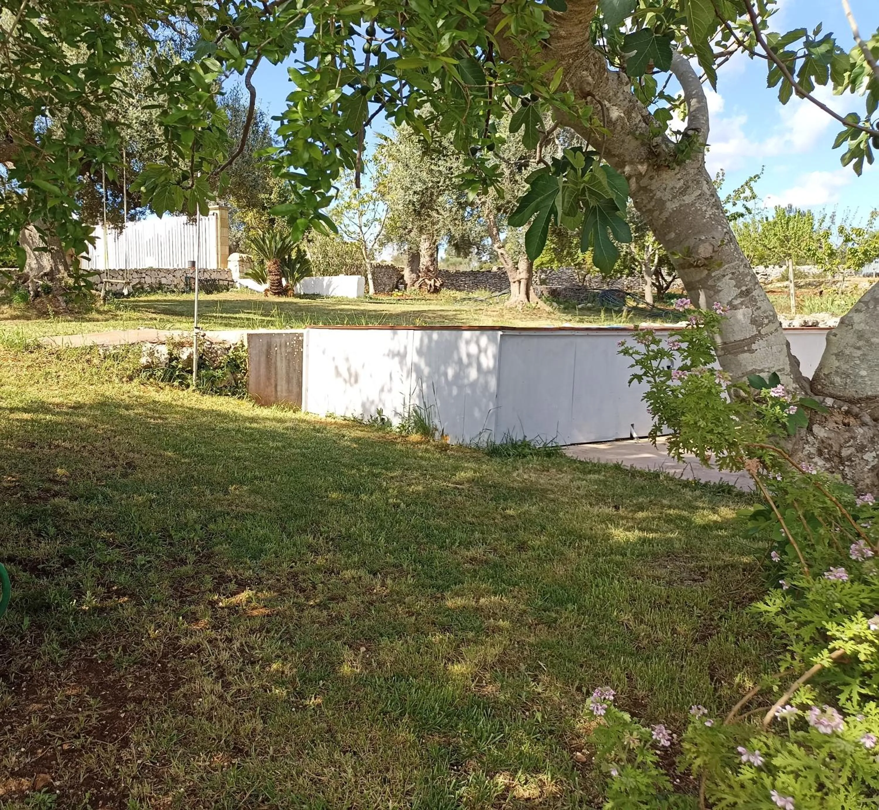 Garden view in La casa degli artisti