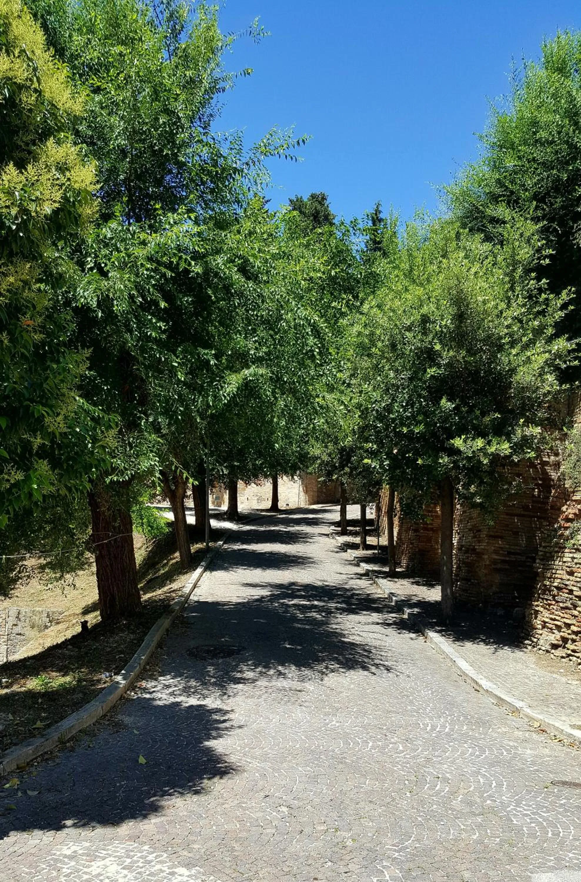 Neighbourhood in Dimora Amina