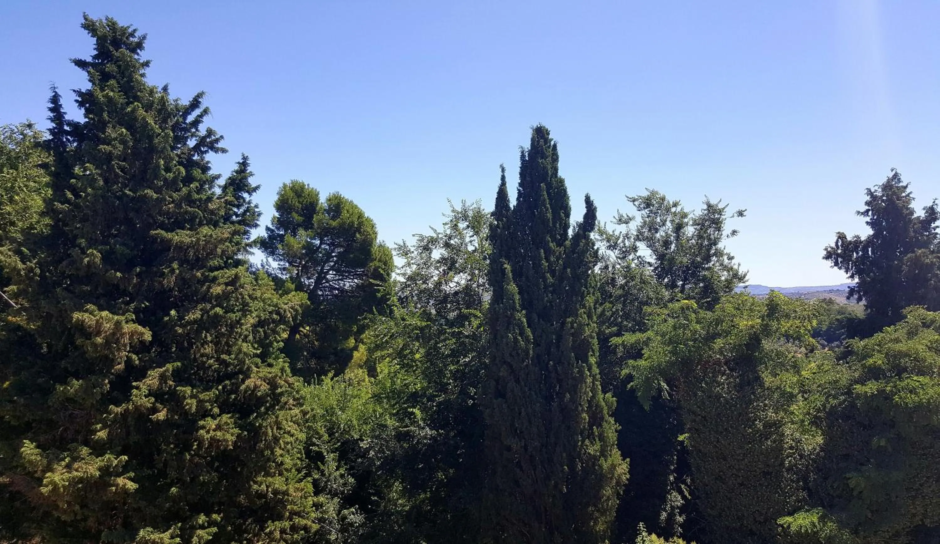 Natural landscape in Dimora Amina