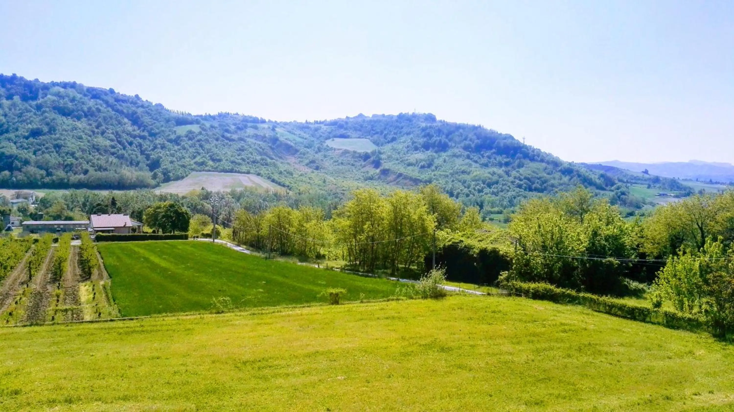 Day in Hotel Letizià