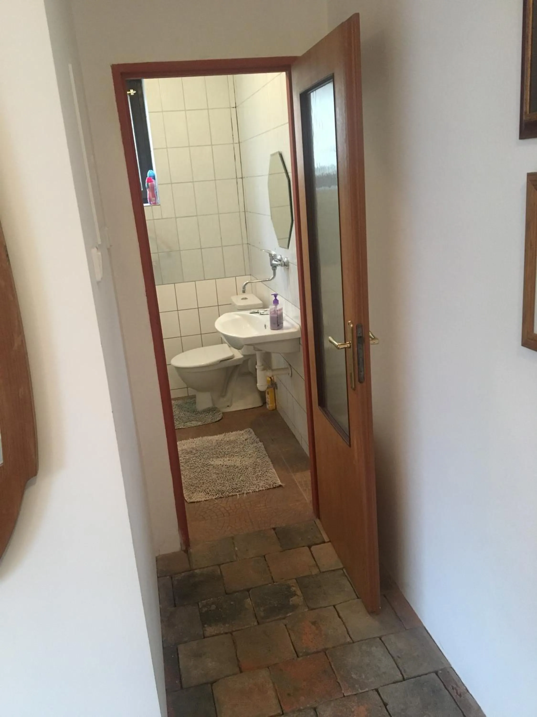 Triple Room with Terrace - single occupancy in Apartmán Vrchlice