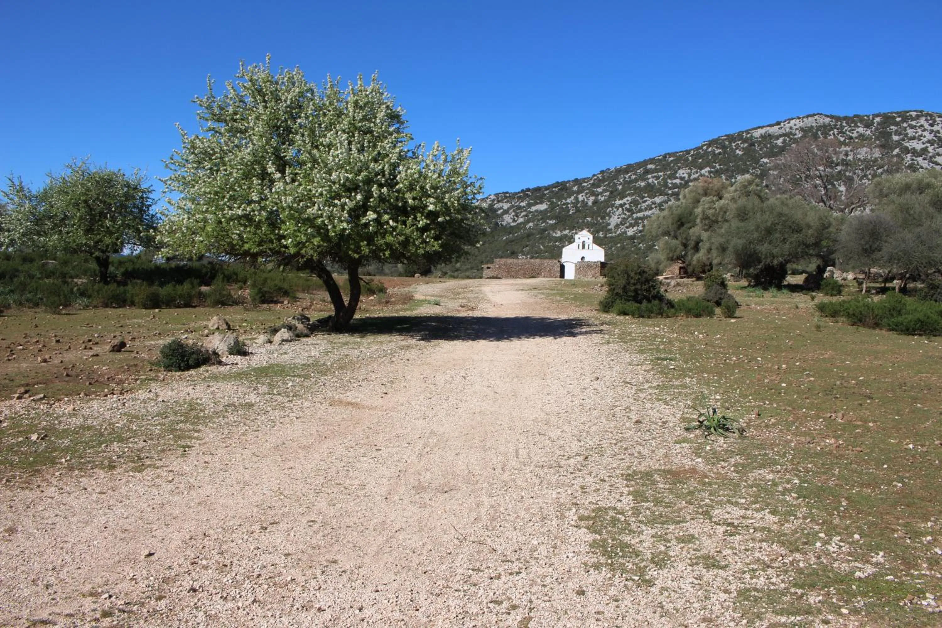 Natural landscape in B&B Issicoro