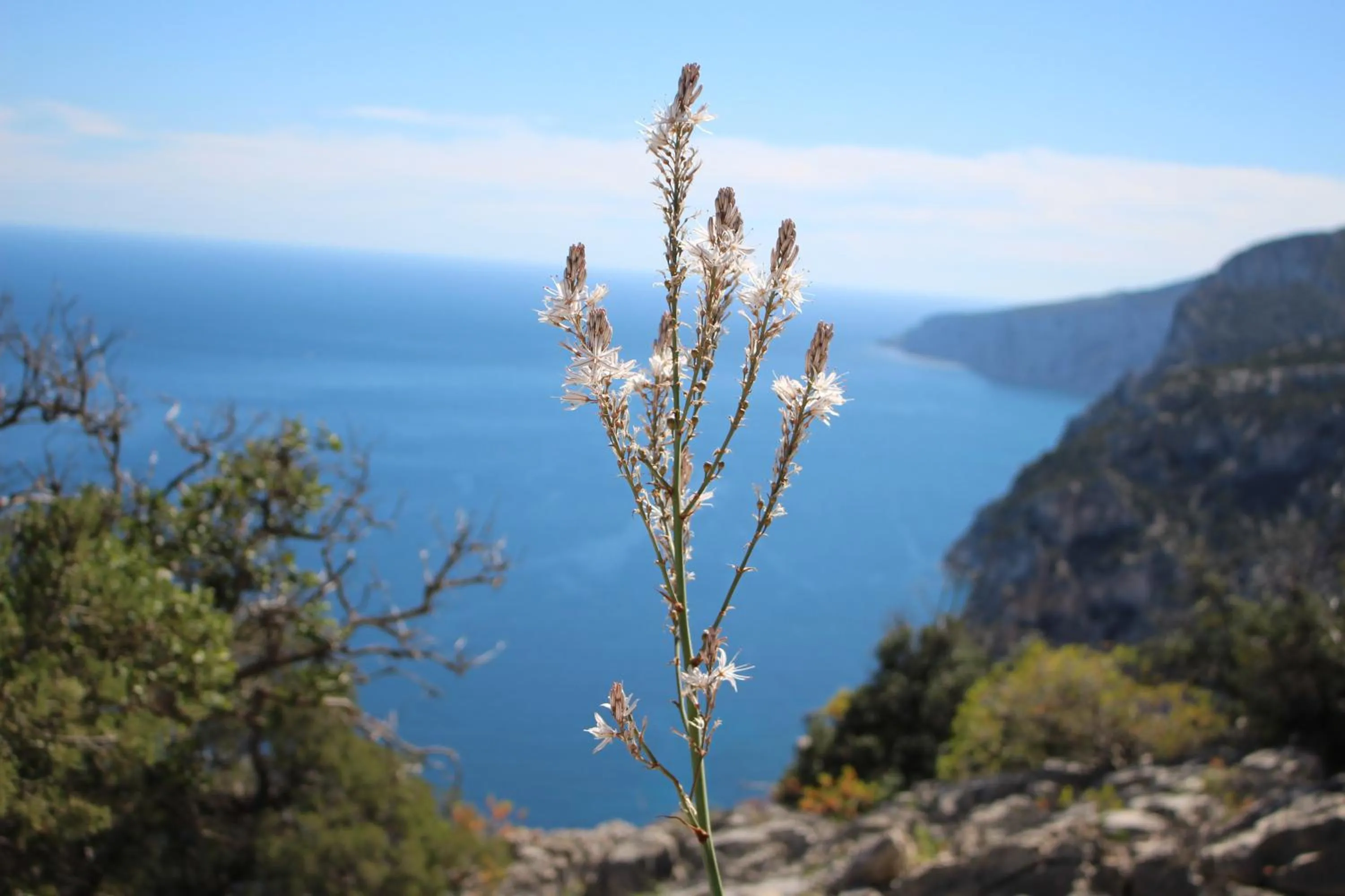 Natural landscape in B&B Issicoro