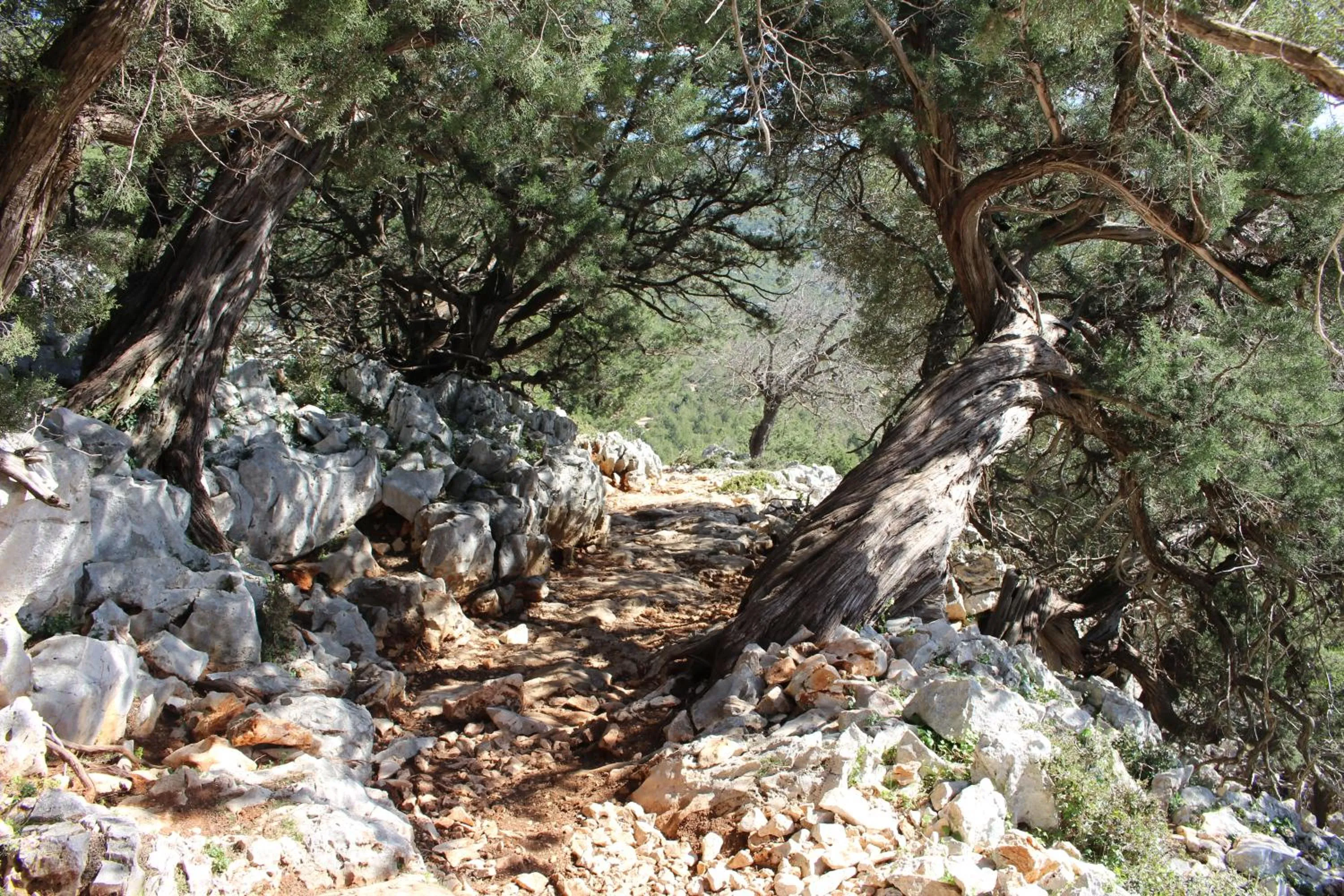 Hiking in B&B Issicoro