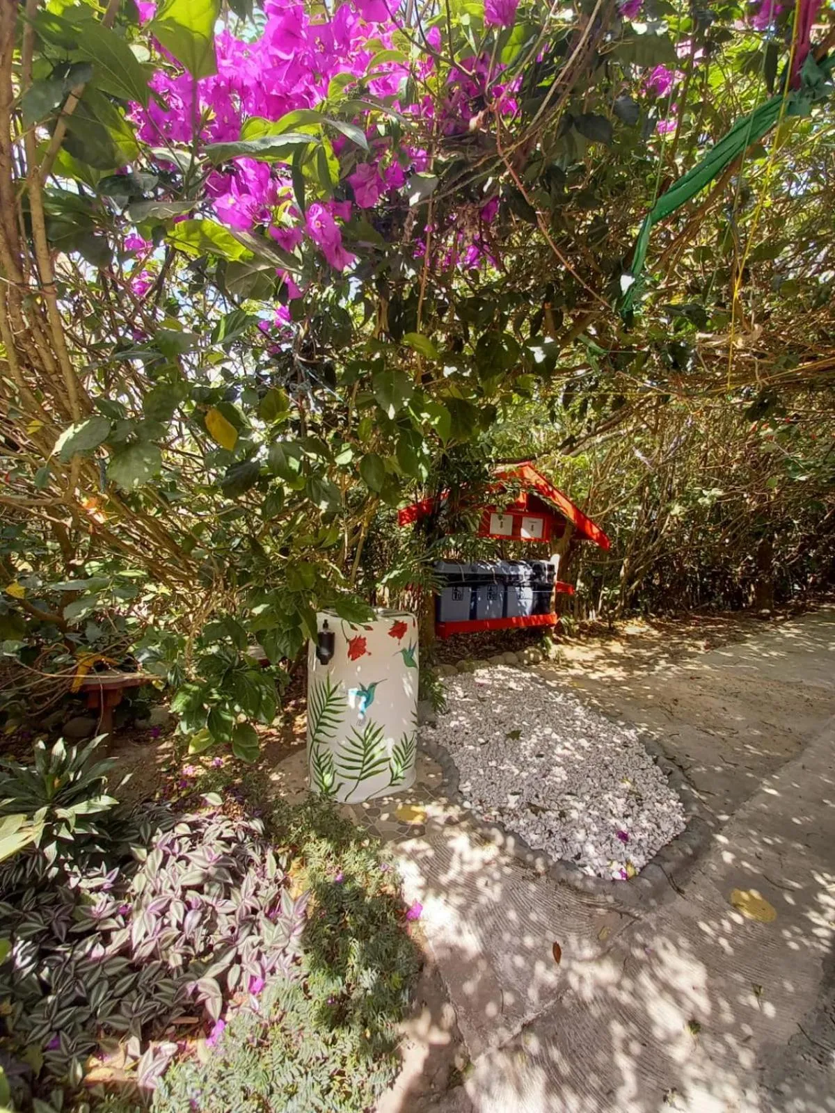 Garden view in Pensión y Cabinas Colibrí B&B Costa Rica