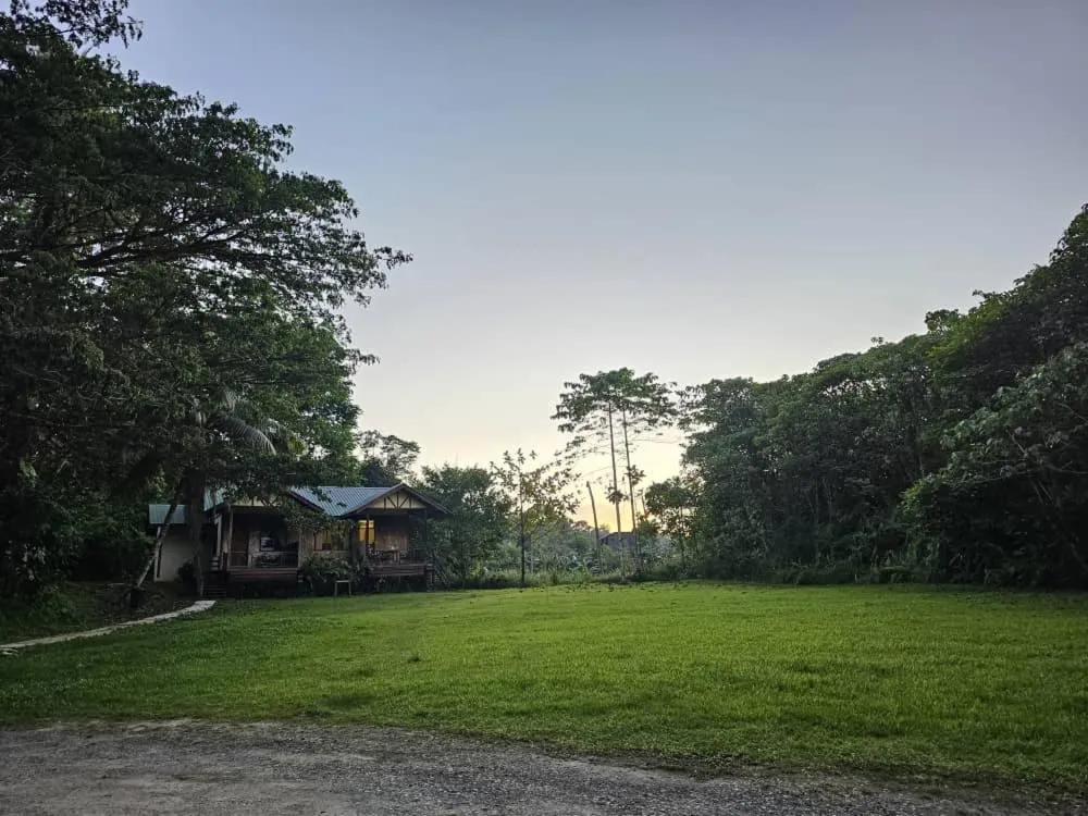 Property building in Sepilok B&B