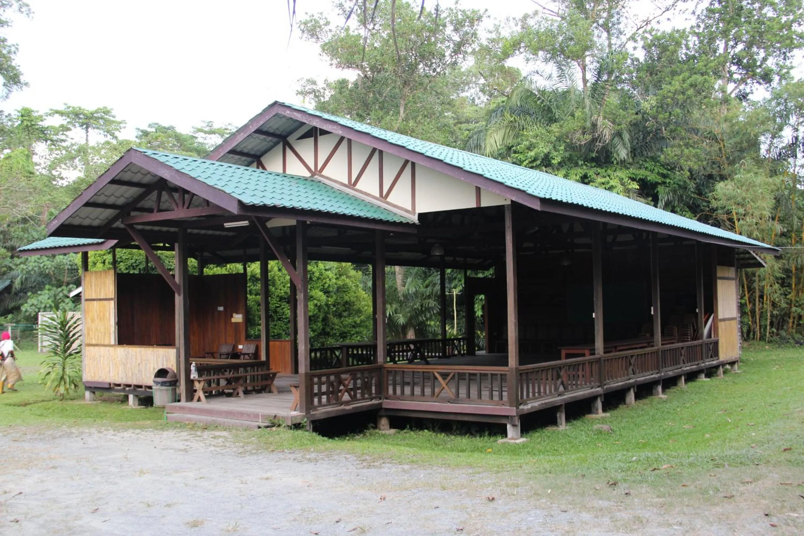 Property building in Sepilok B&B