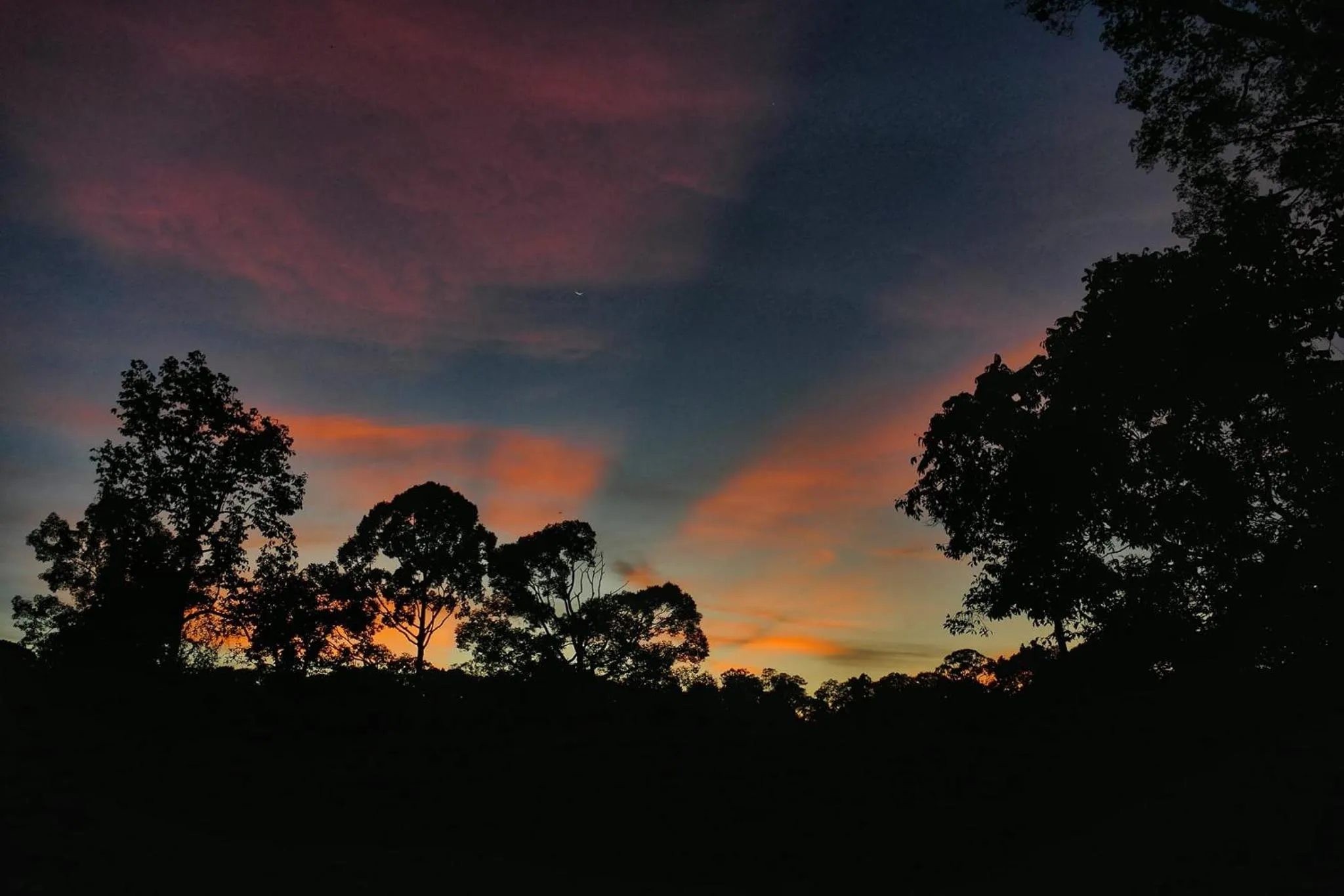 Sunset in Sepilok B&B