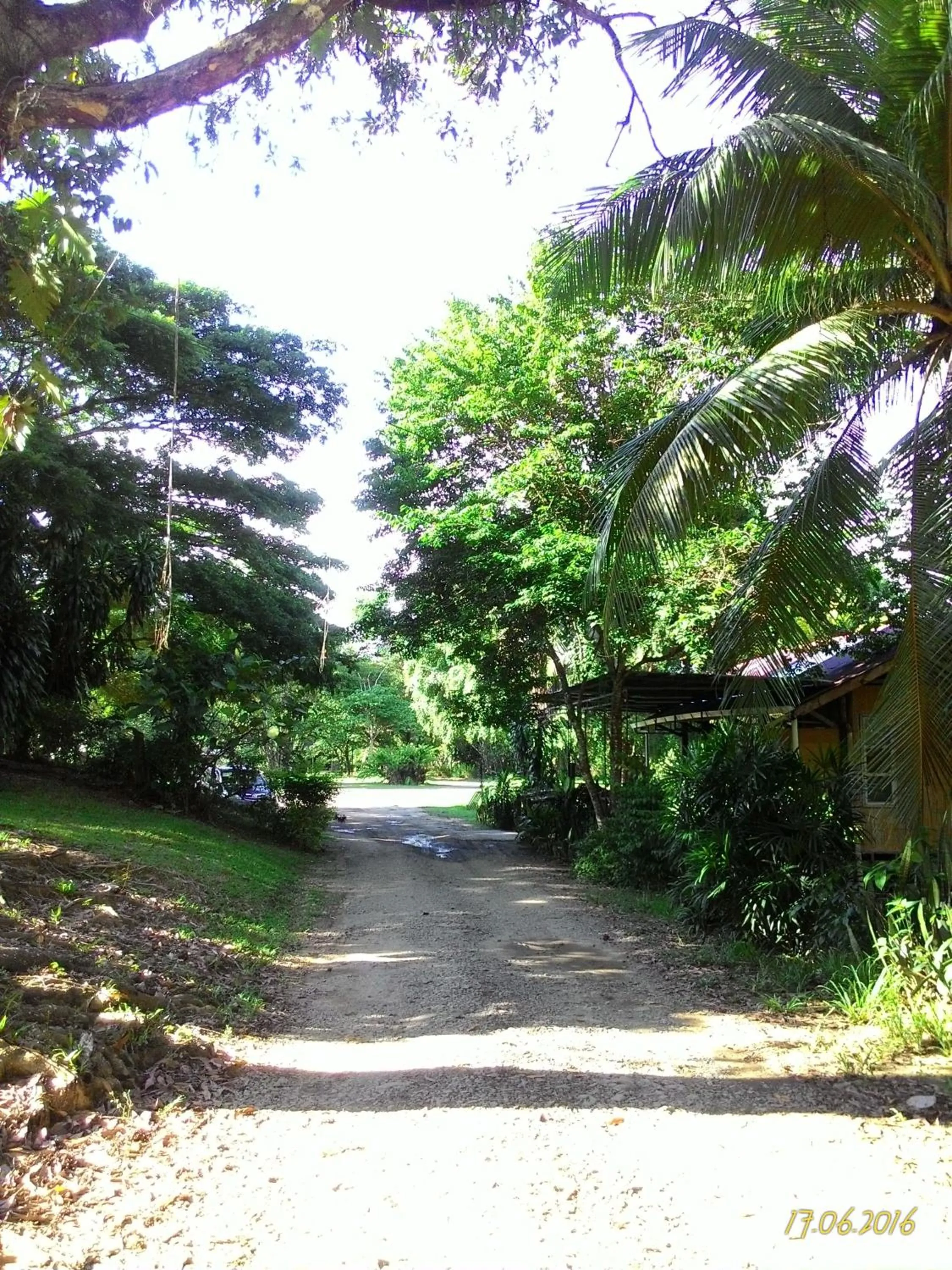 Garden in Sepilok B&B