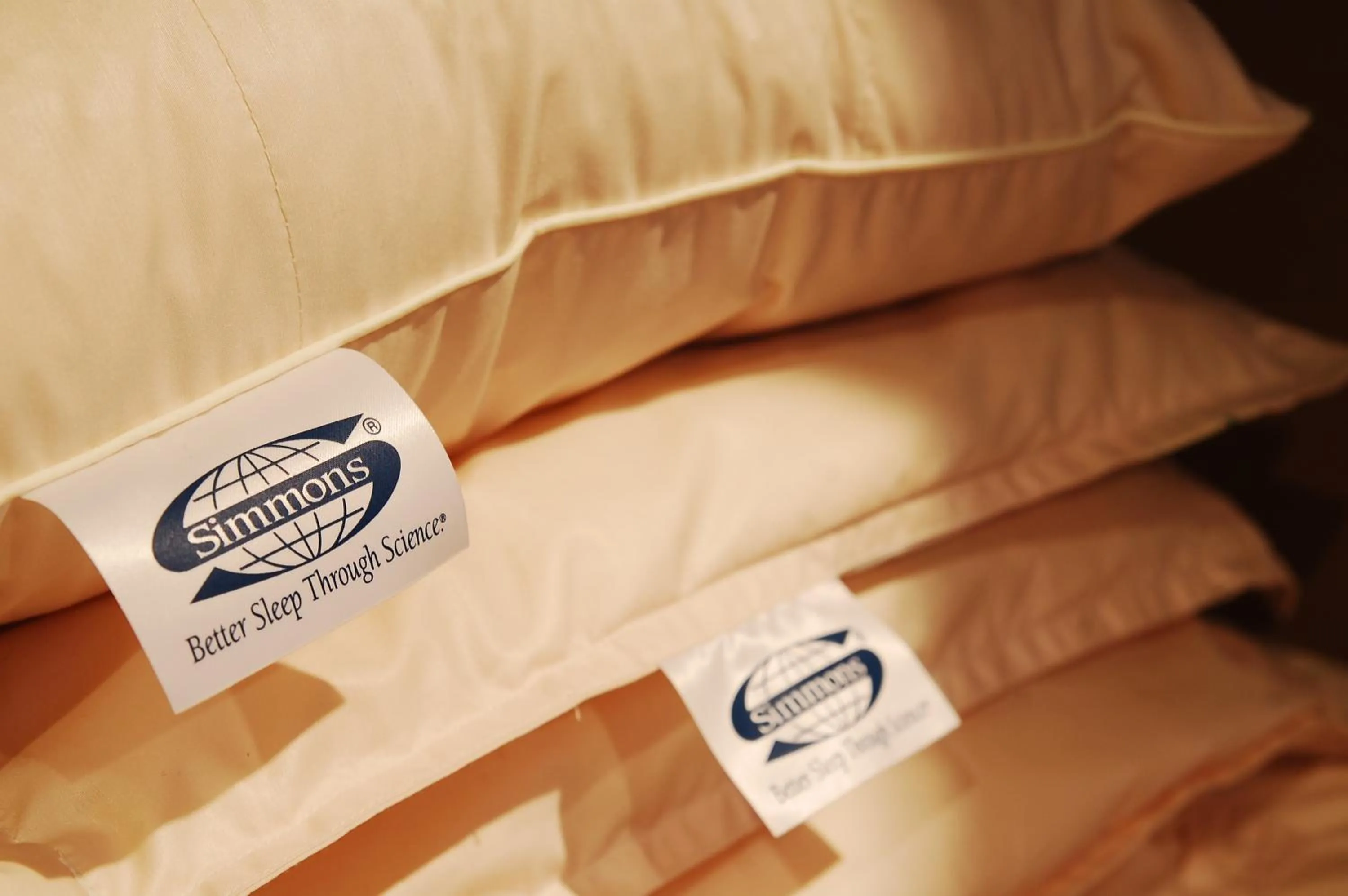 Other, Bed in Anshin Oyado Ogikubo near Shinjuku