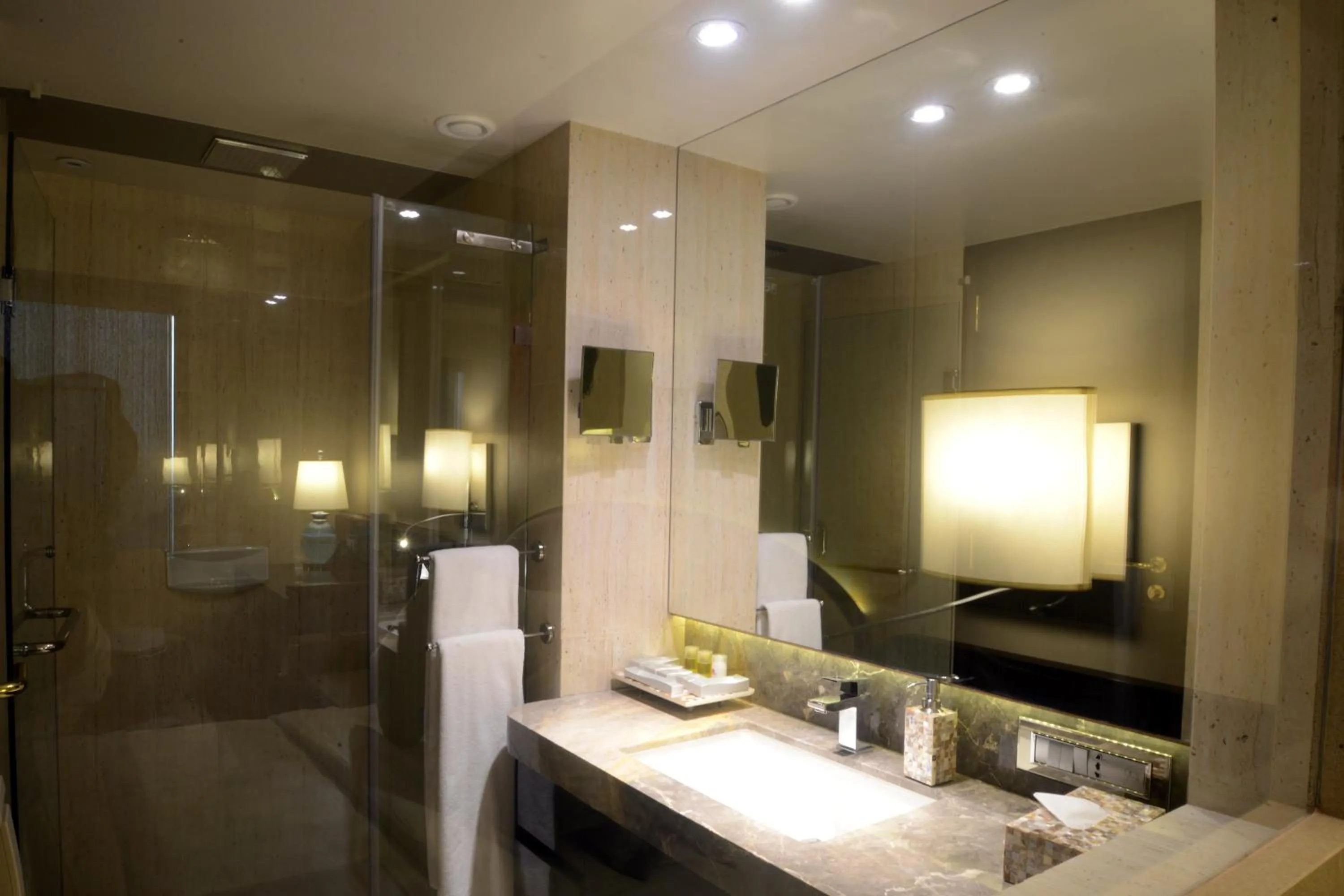 Shower in Sai Palace Grand, Malad