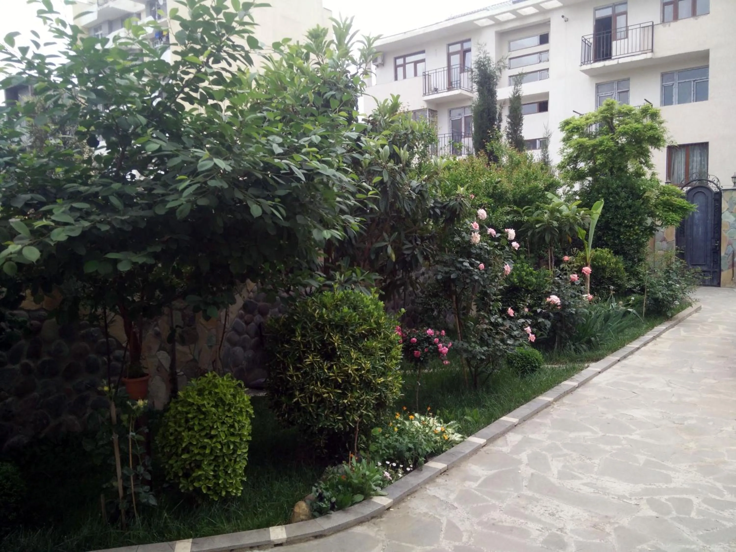Garden view in Hotel Mimino