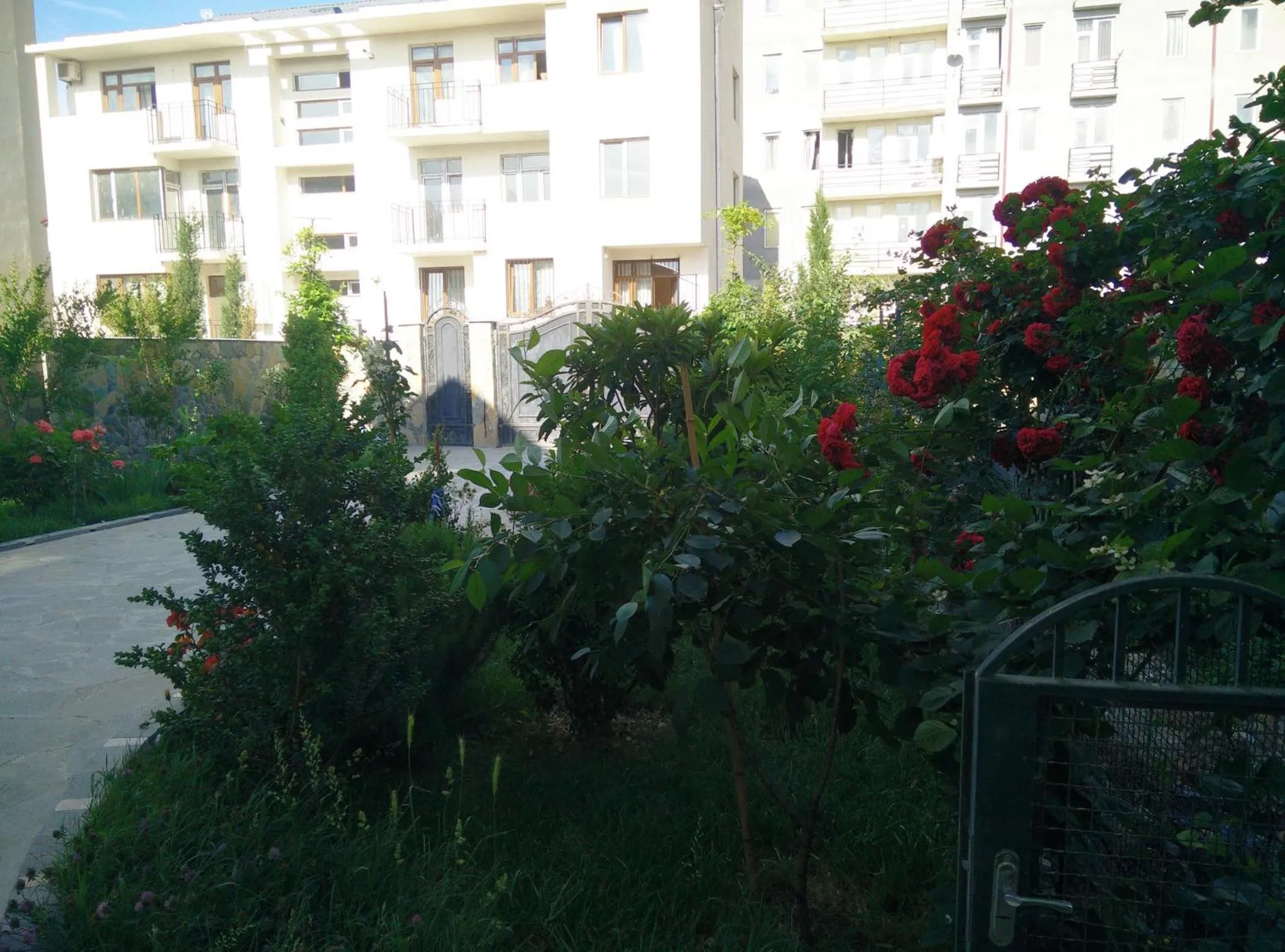 Garden view in Hotel Mimino