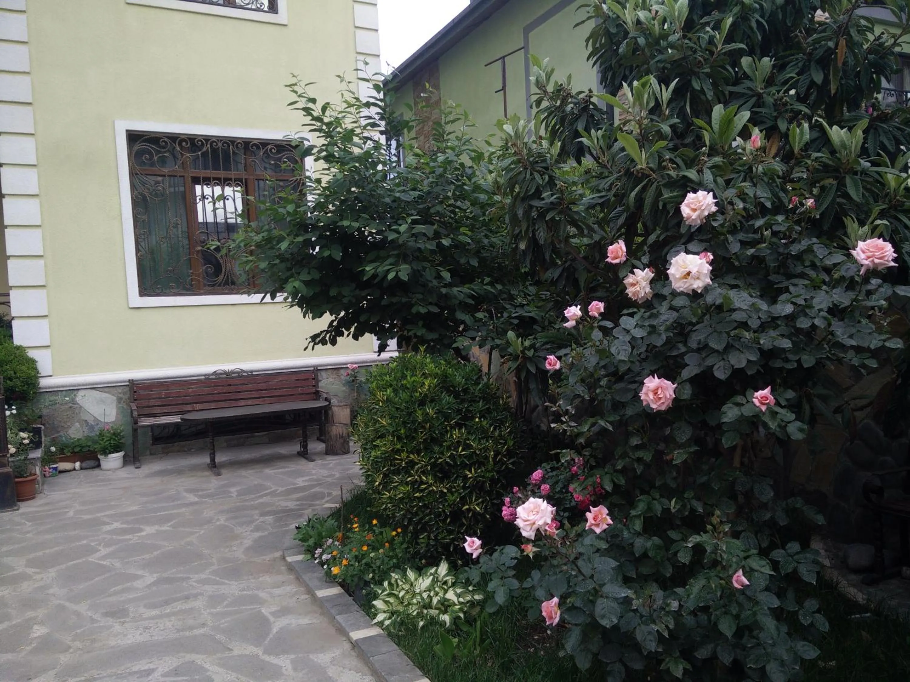 Garden view in Hotel Mimino