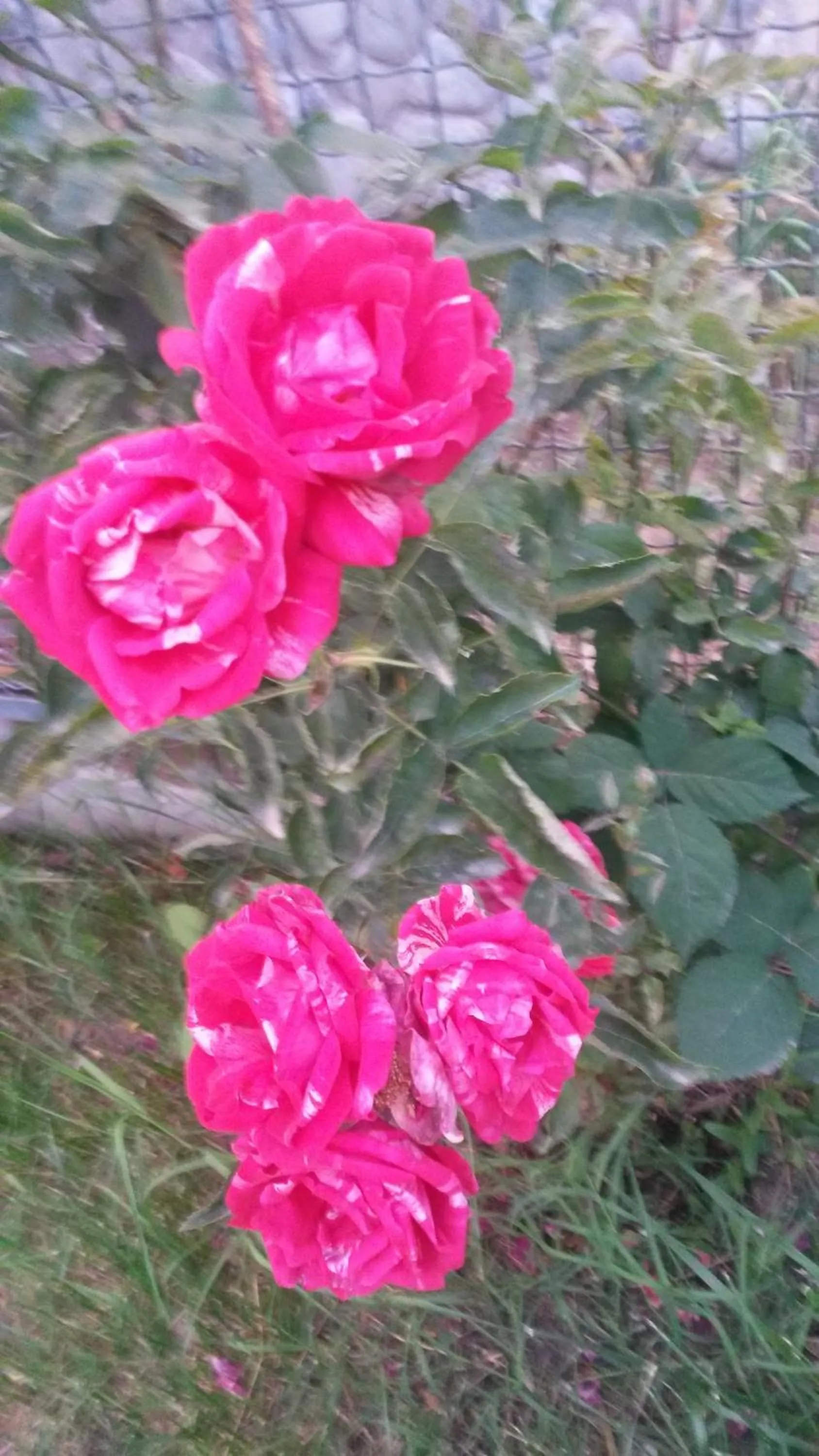 Neighbourhood in Hotel Mimino