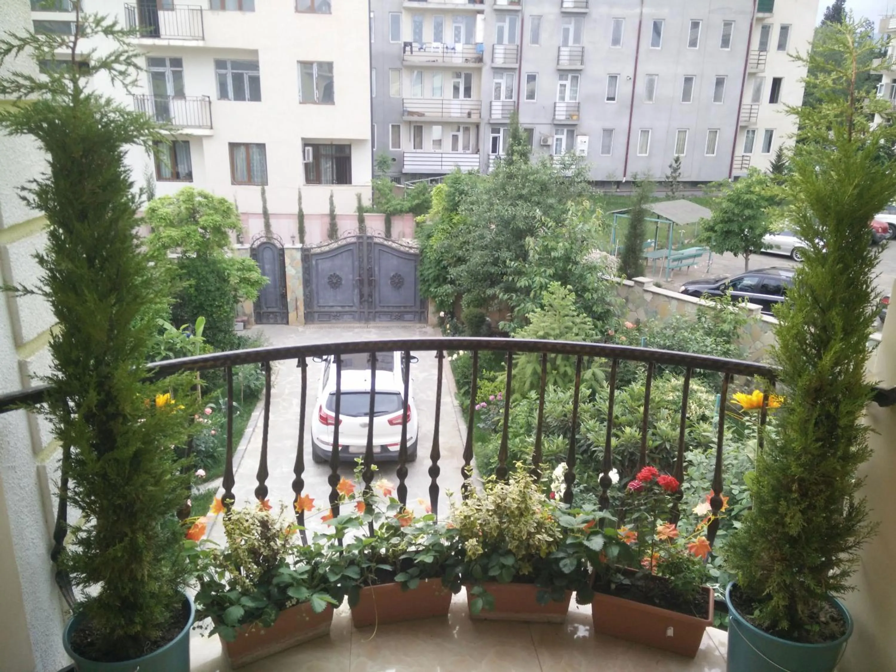 Garden view in Hotel Mimino