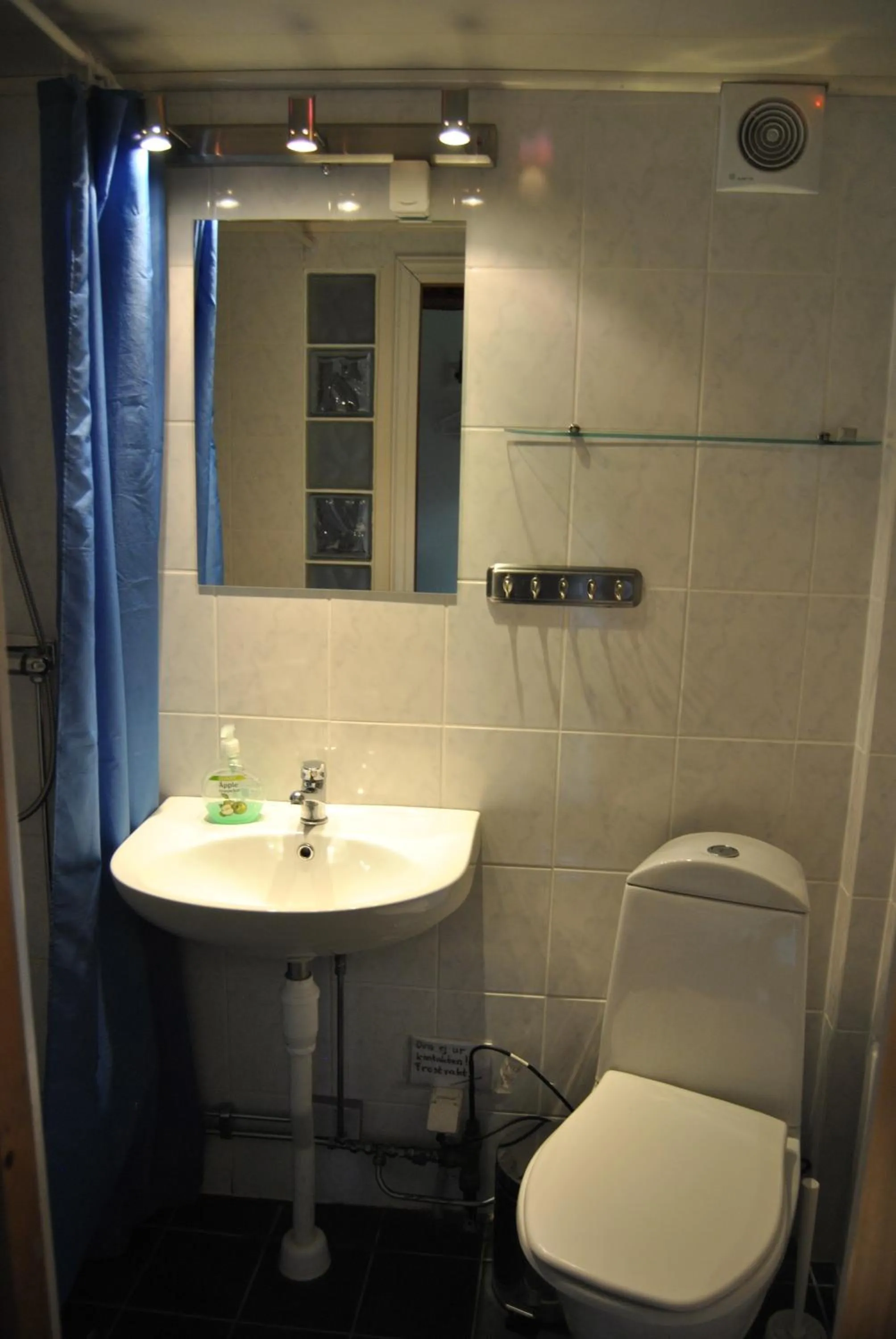 Bathroom in Orsastuguthyrning-Viborg