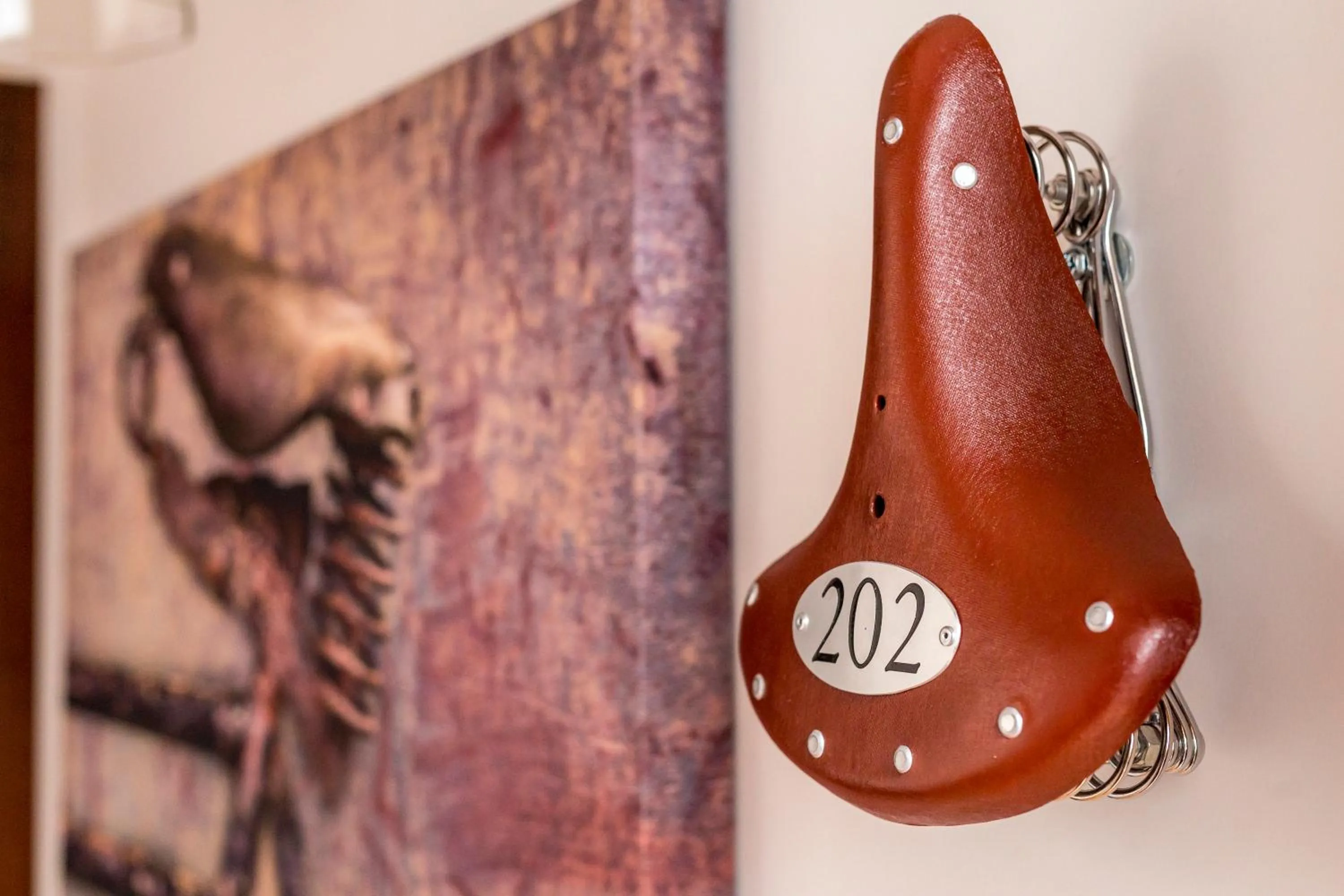 Area and facilities in Boma Countryhouse