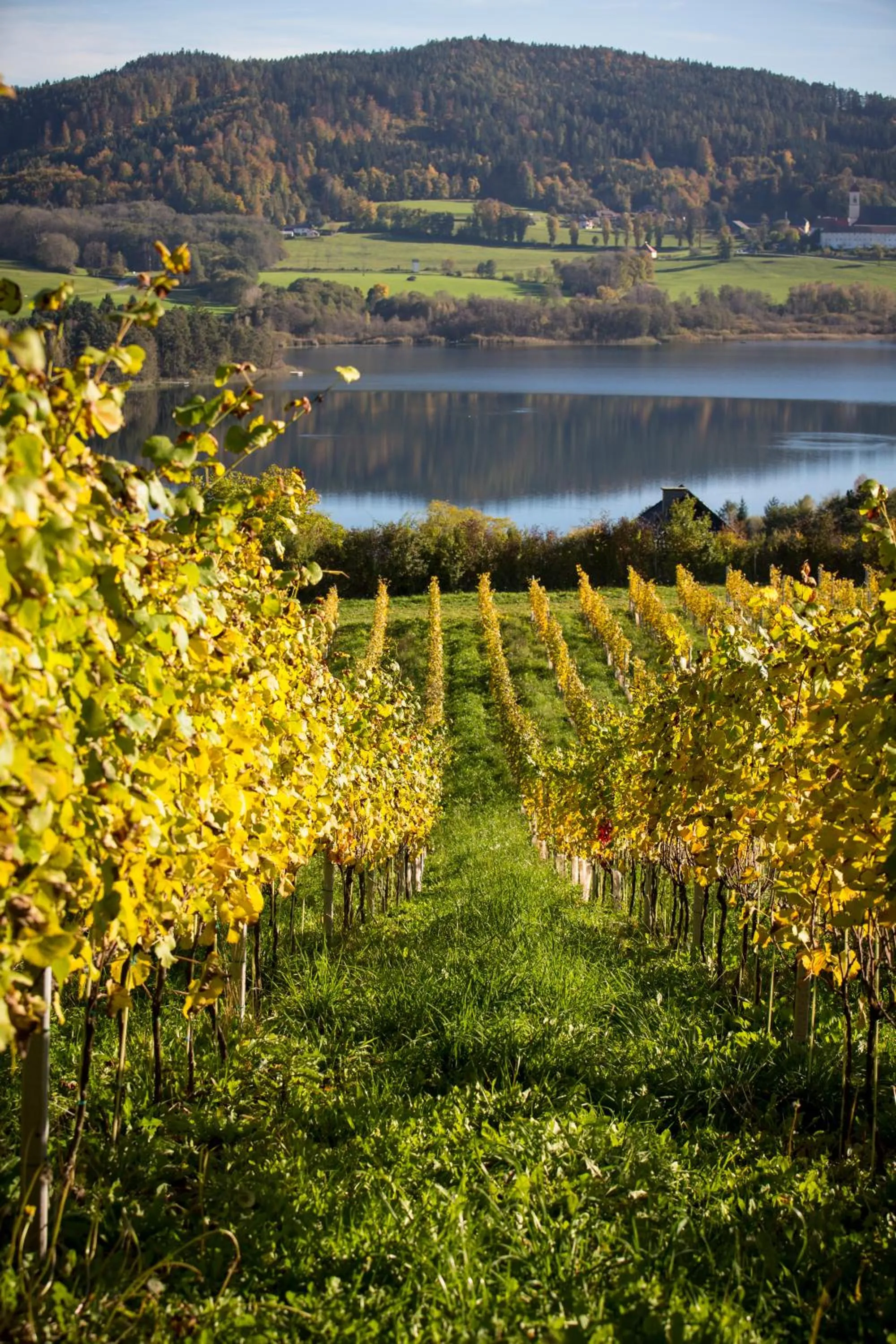 Off site in Bio Weingut Georgium