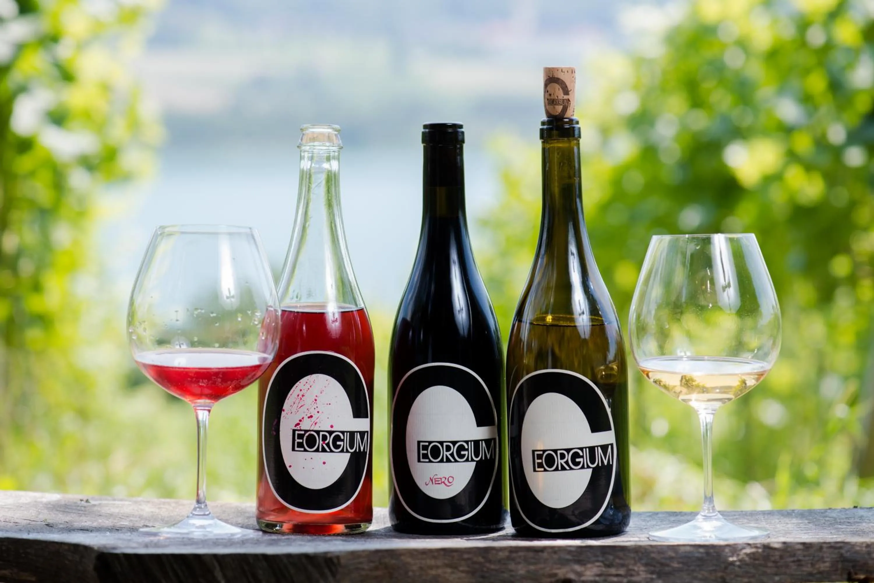 Alcoholic drinks in Bio Weingut Georgium