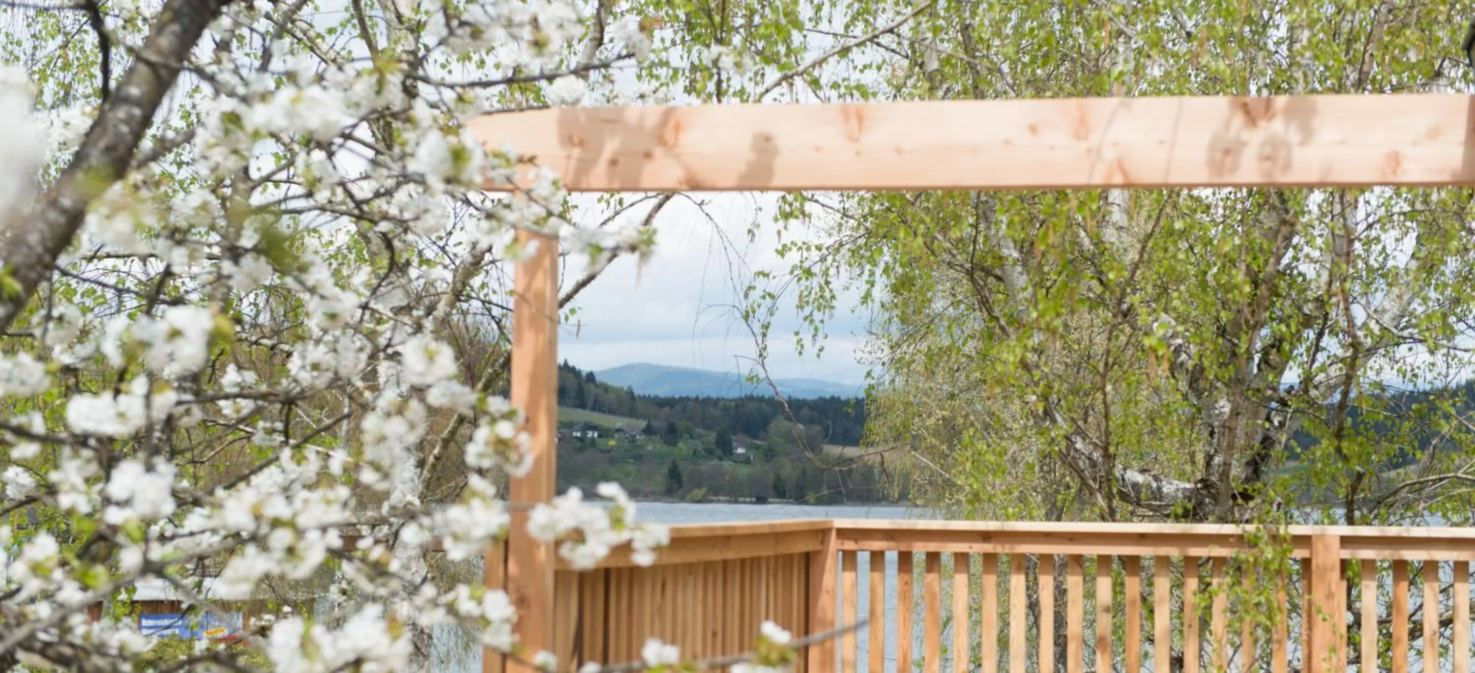 Balcony/Terrace in Bio Weingut Georgium