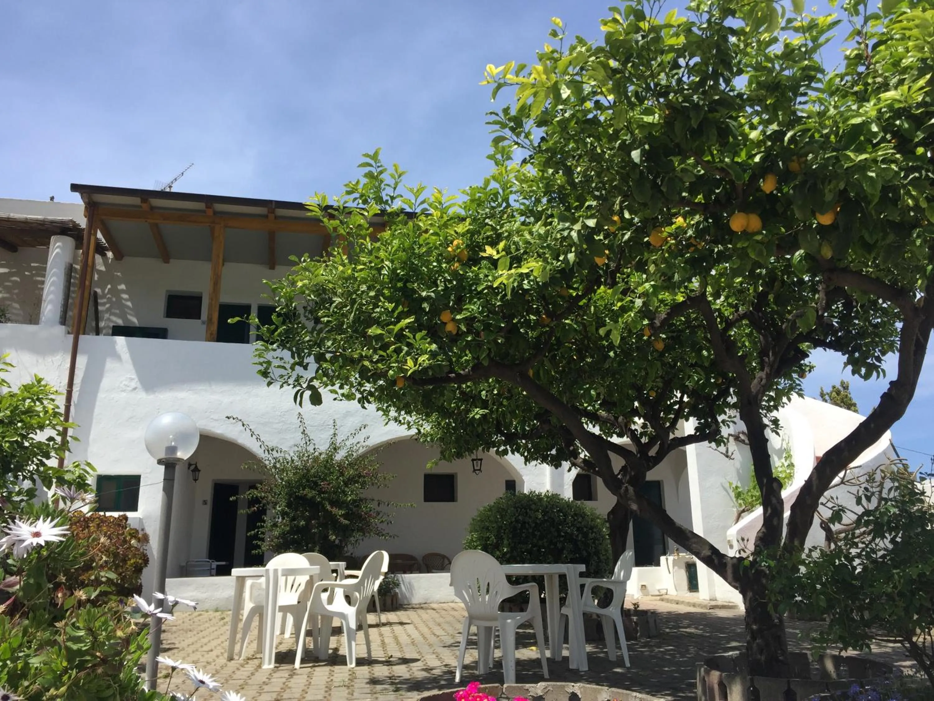 Garden in Villa Petrusa
