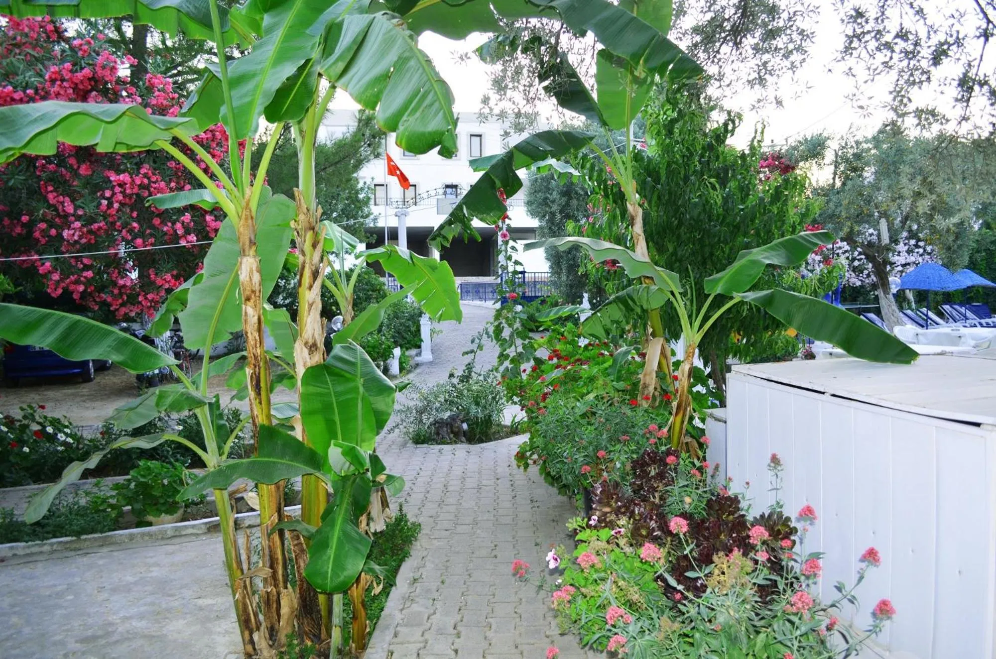 Garden in Ali Baba Hotel Gümbet