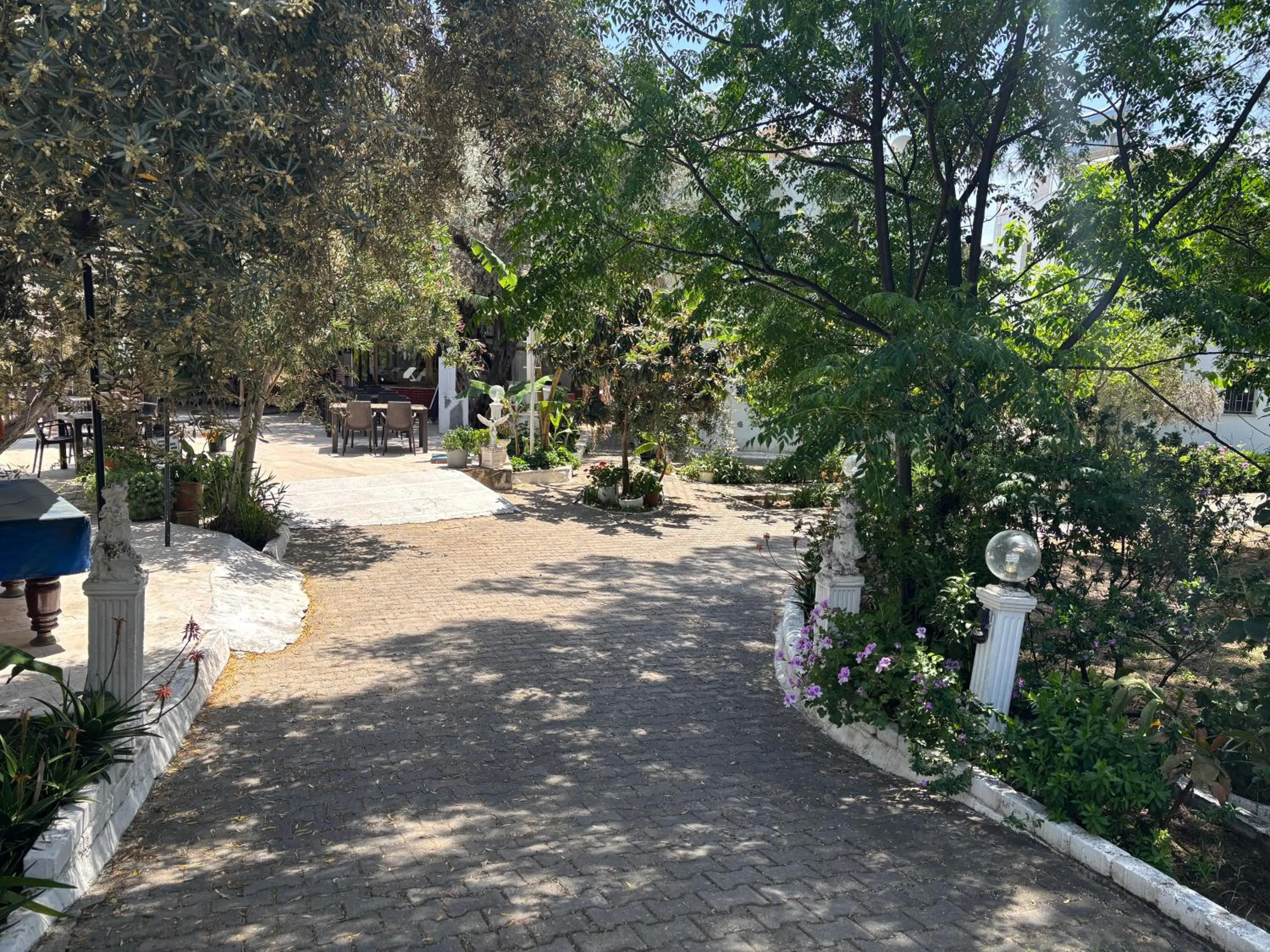 Facade/entrance in Ali Baba Hotel Gümbet