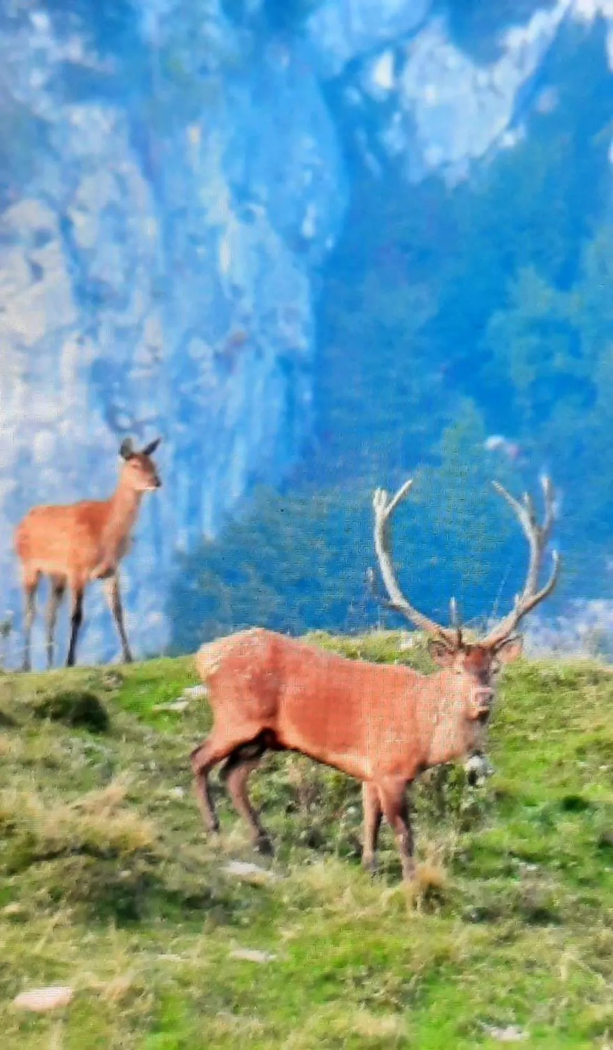 Natural landscape in Seehotel Lilly