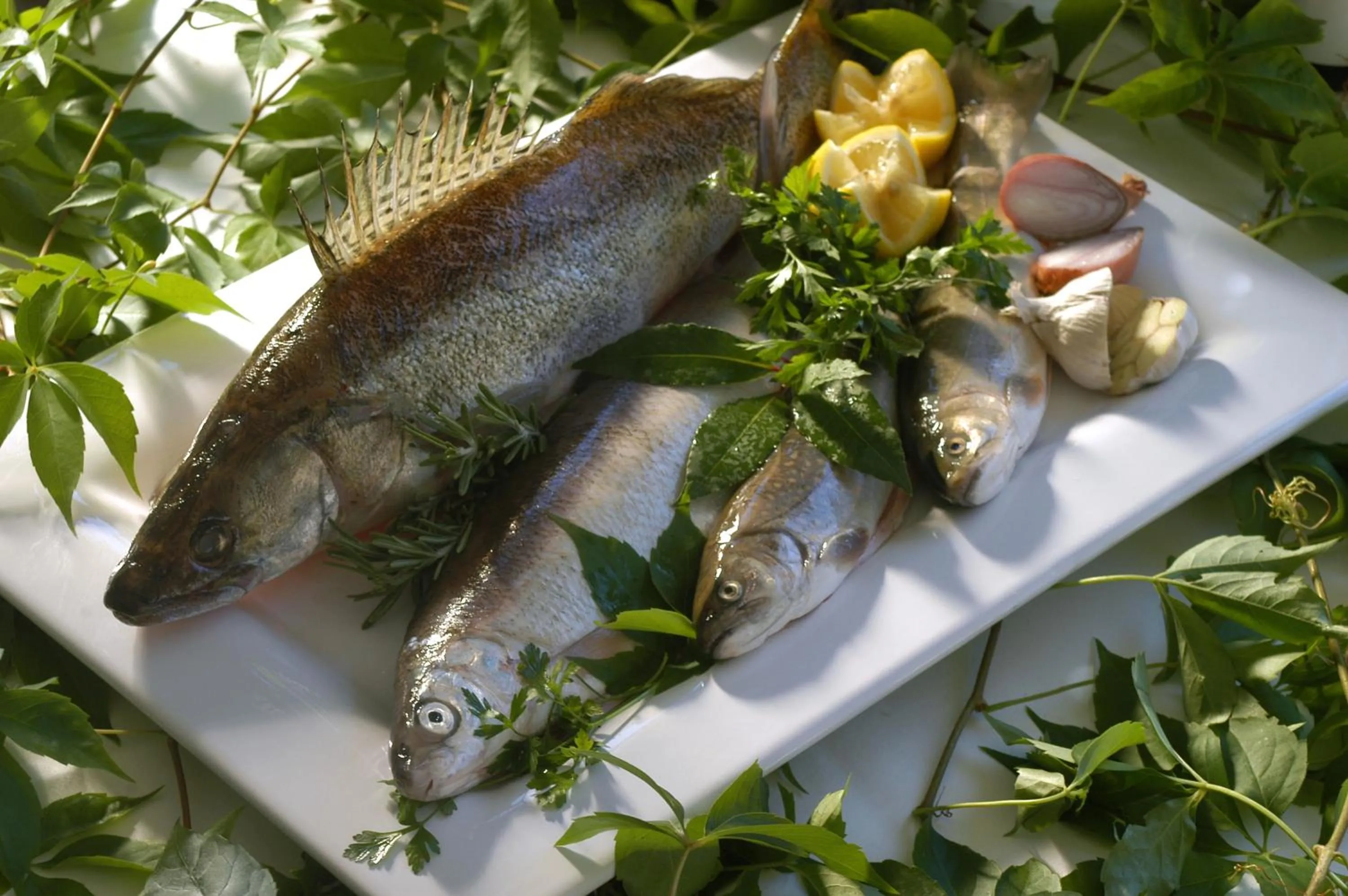 Food close-up in Seehotel Lilly