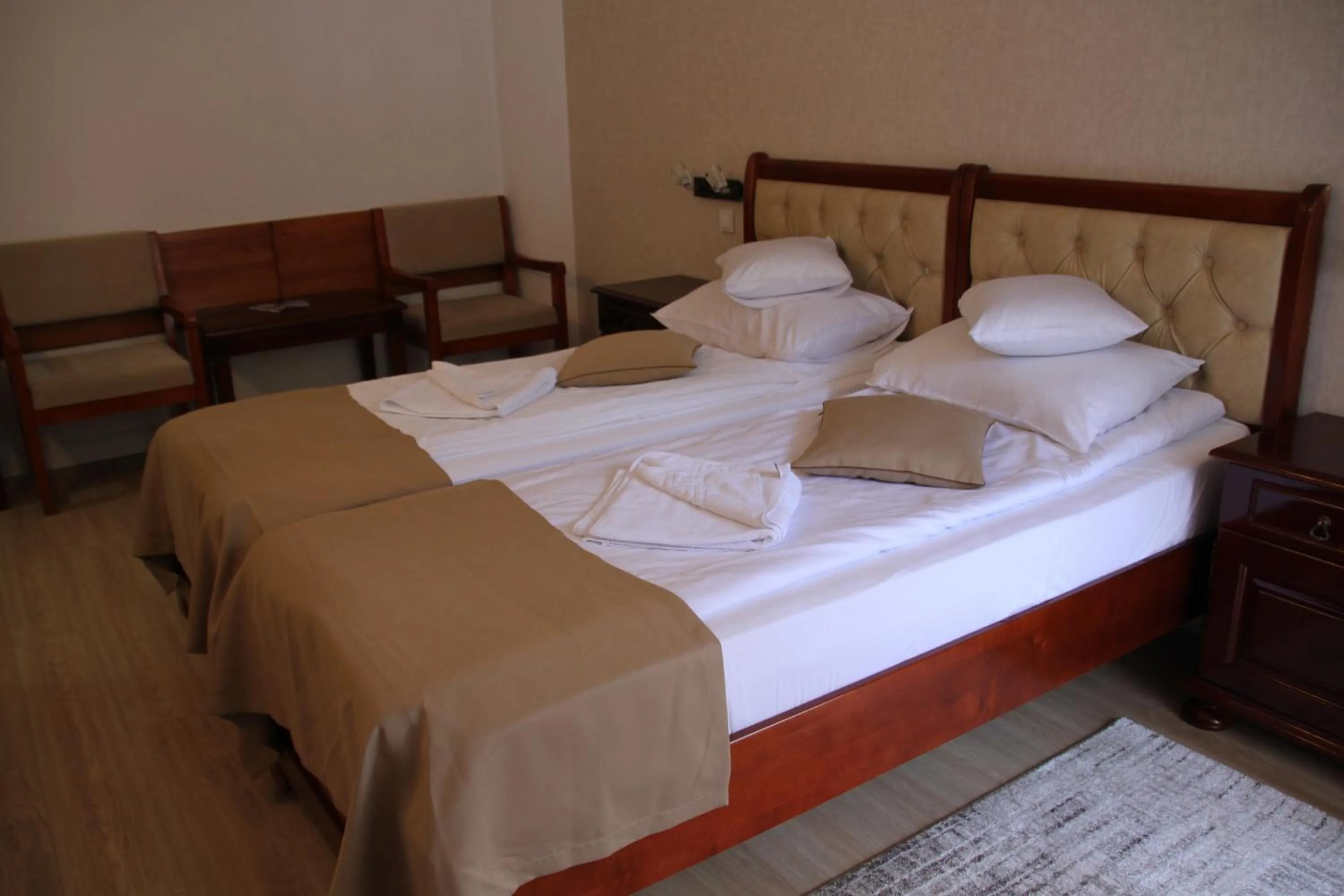 Hotel Nemira