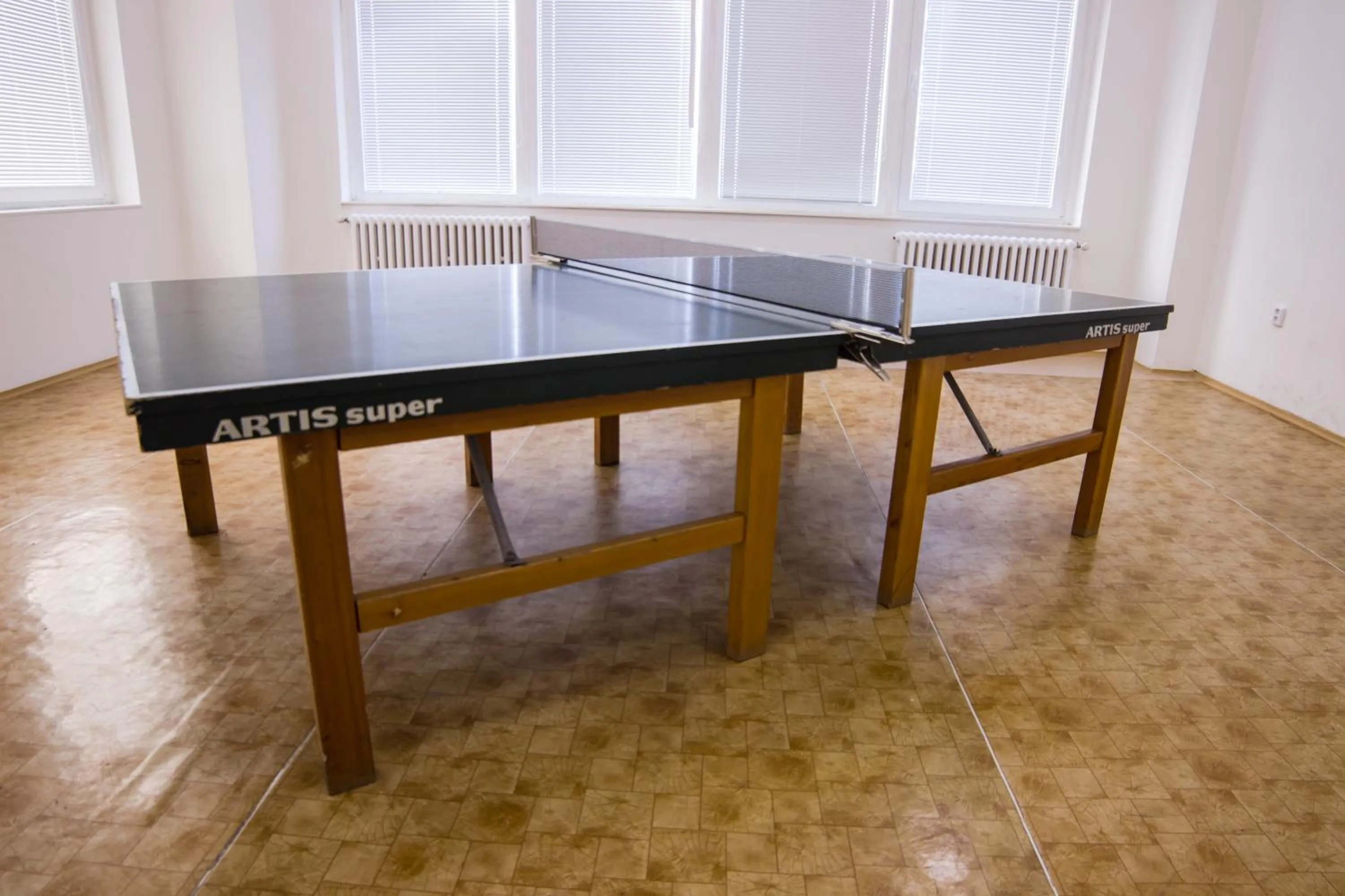 Table tennis in Hostel Blanice