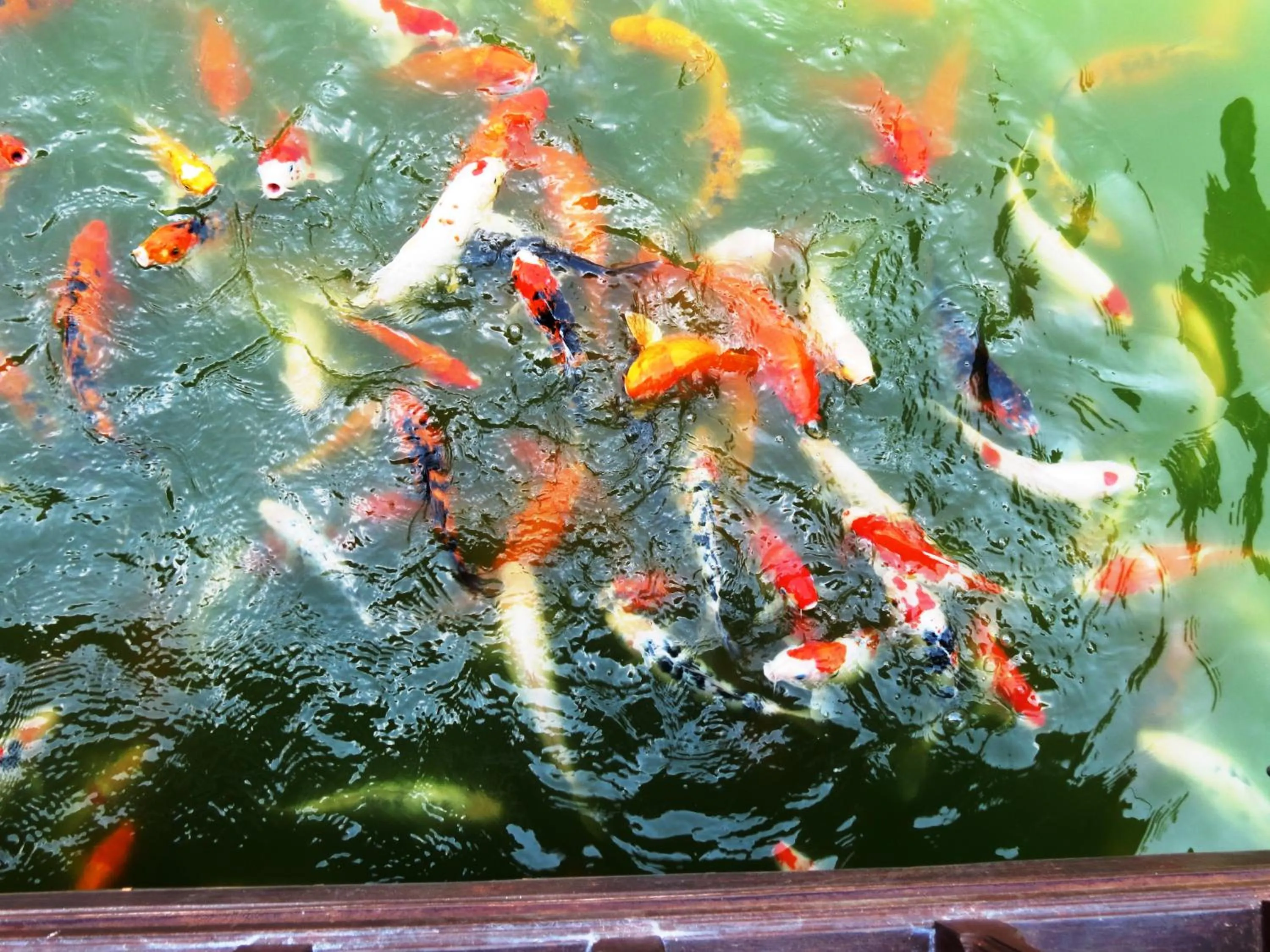 Property building in Pongsin Resort