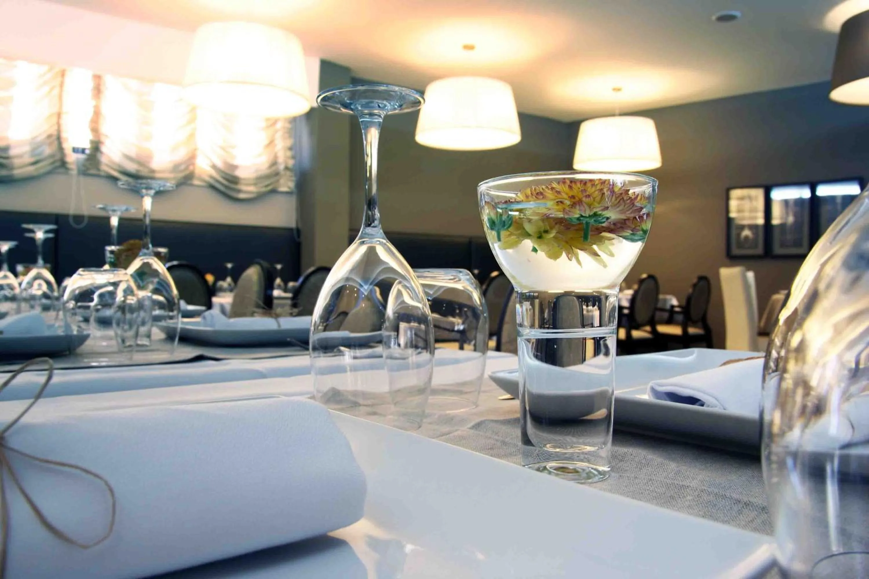 Restaurant/places to eat in Hotel Douro Inn
