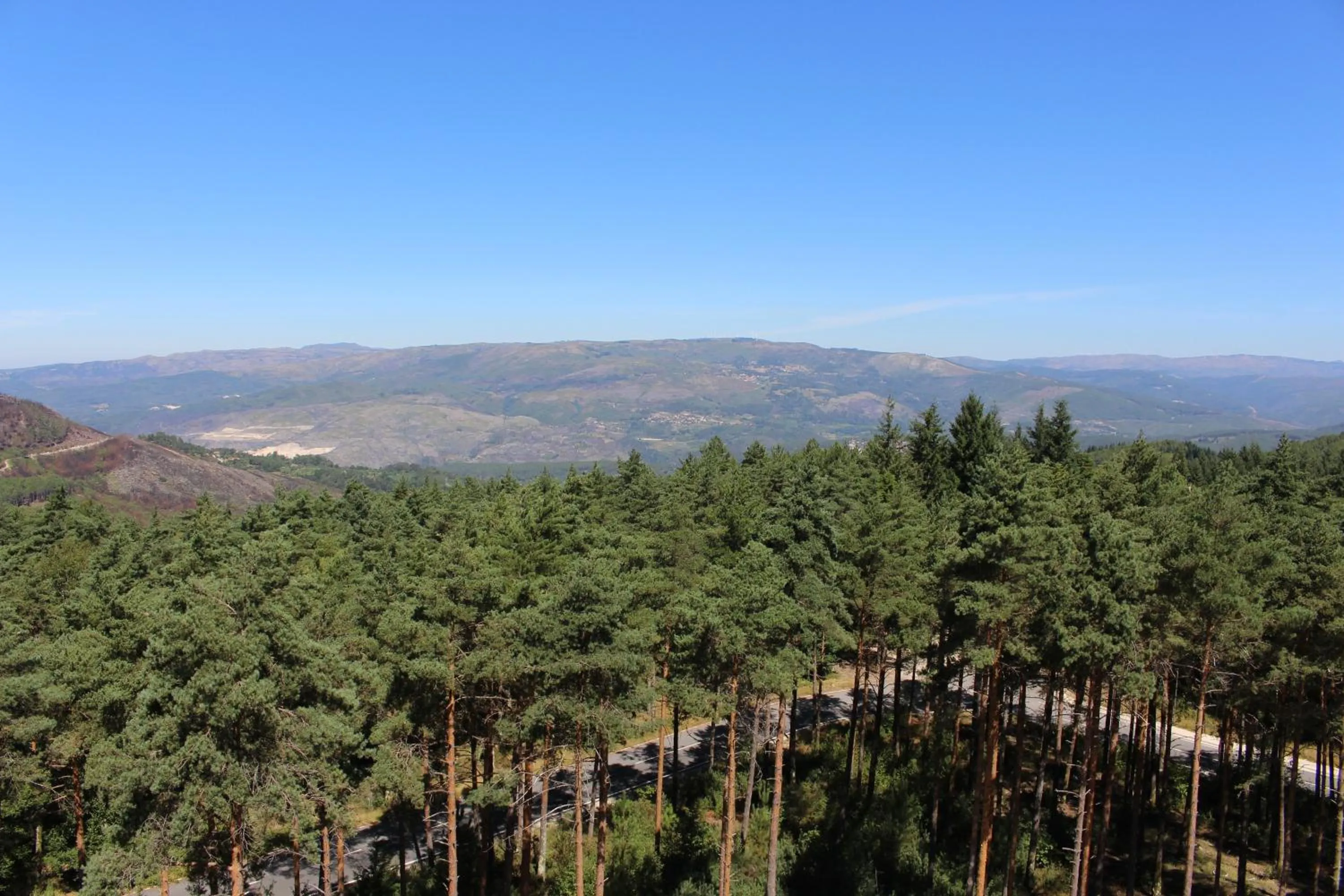 Natural landscape in Pena Park Hotel