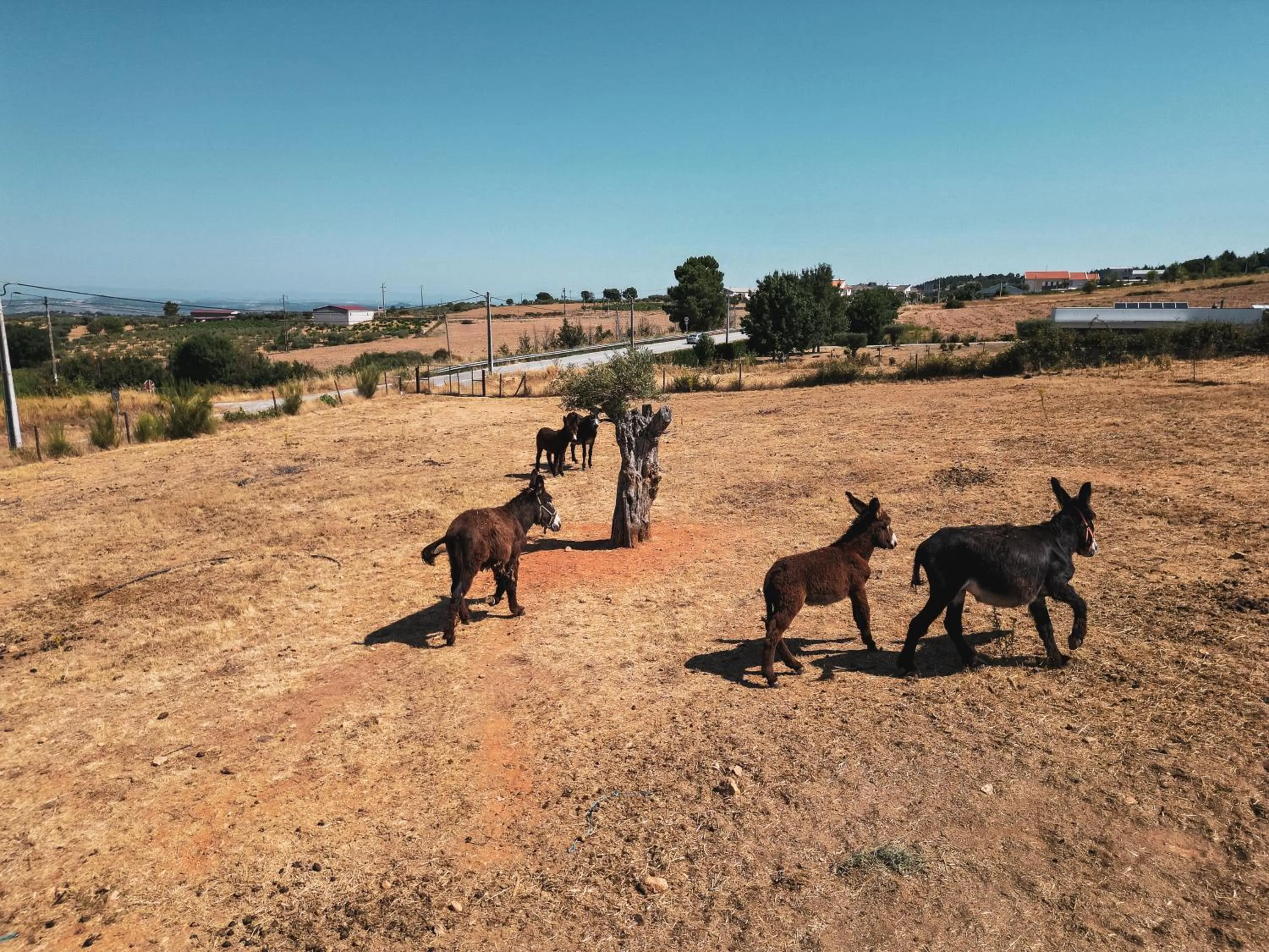 Nearby landmark in Hotel Rural Sra De Pereiras