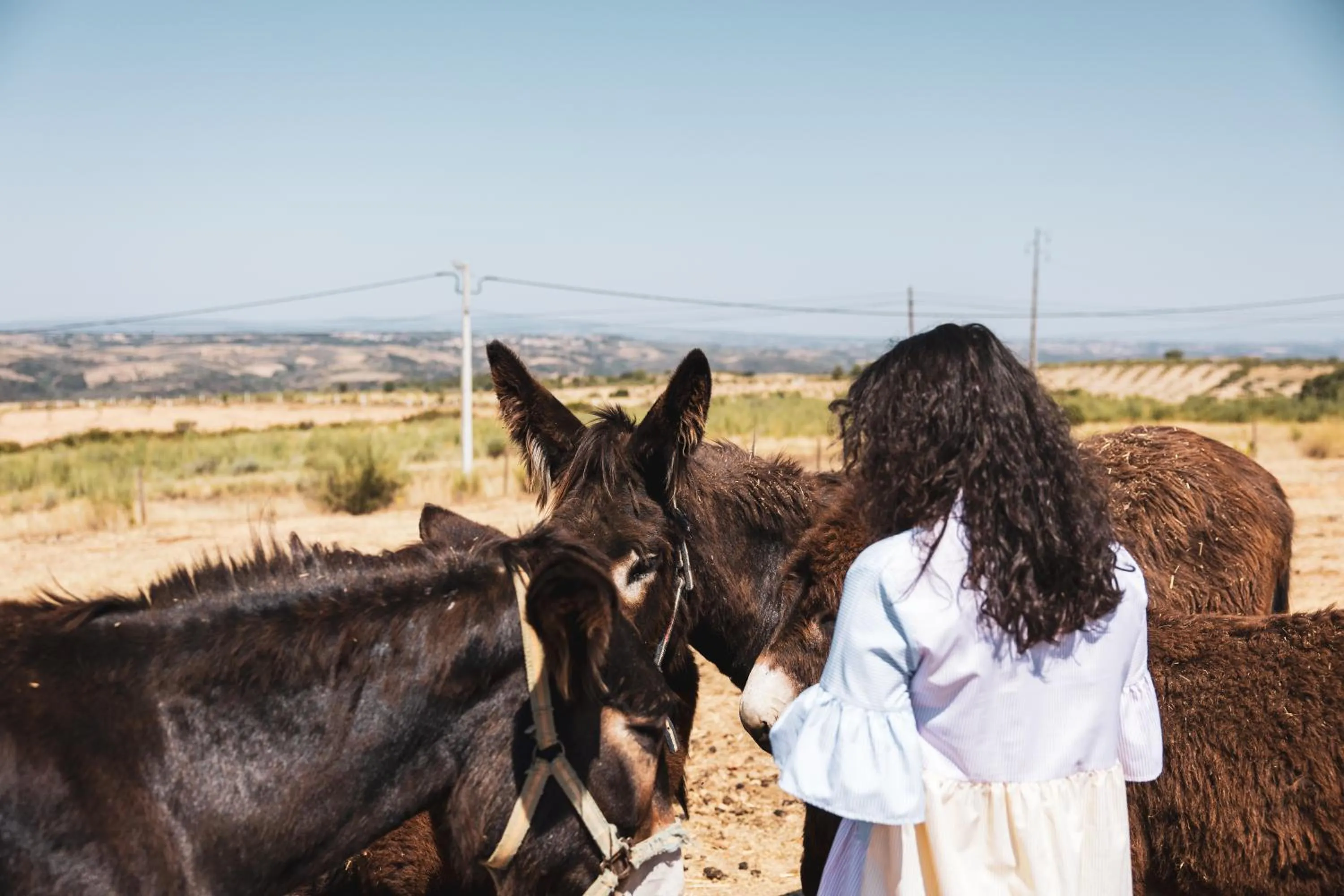 Animals in Hotel Rural Sra De Pereiras