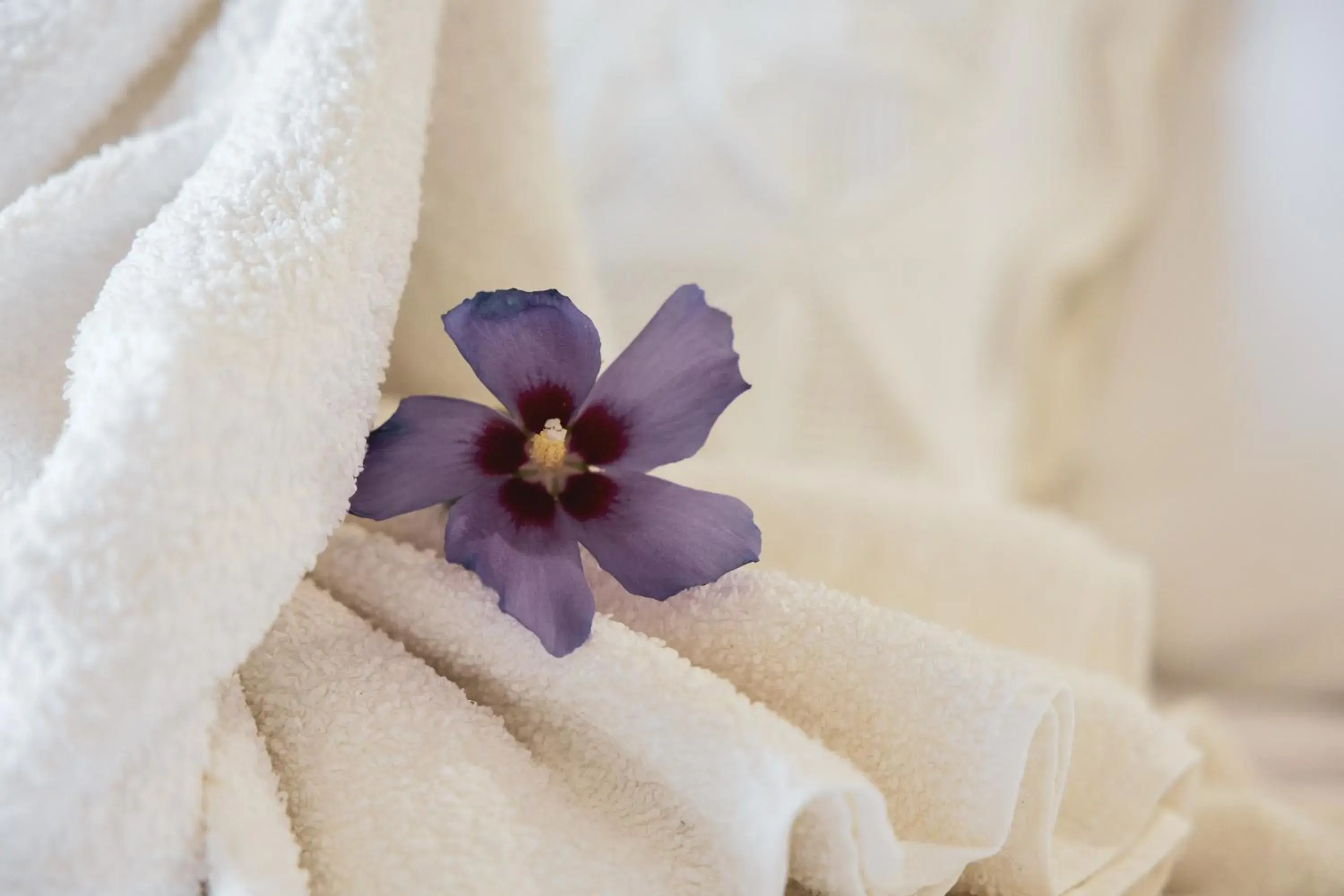 Bedroom, Bed in Hotel Rural Sra De Pereiras Bedroom, Bed in Hotel Rural Sra De Pereiras