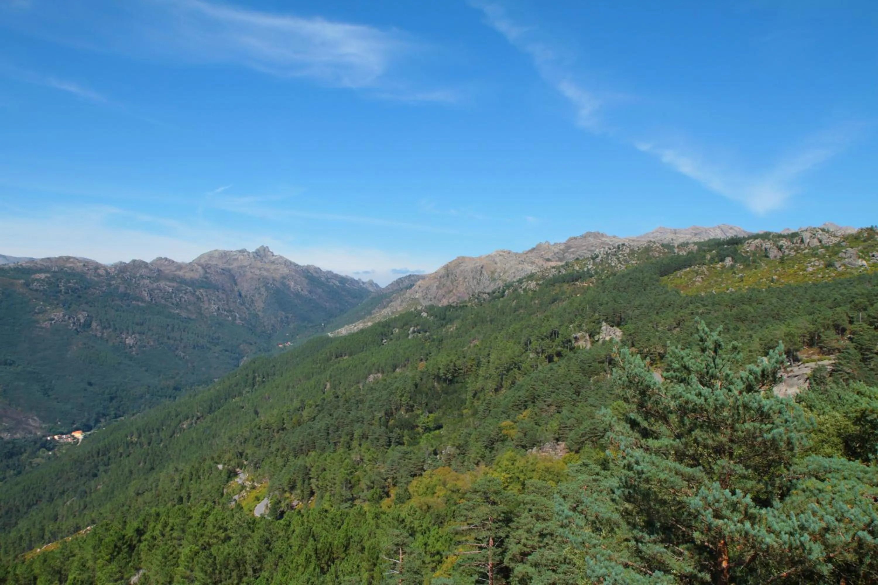 Natural landscape in Hotel Eco Salvador