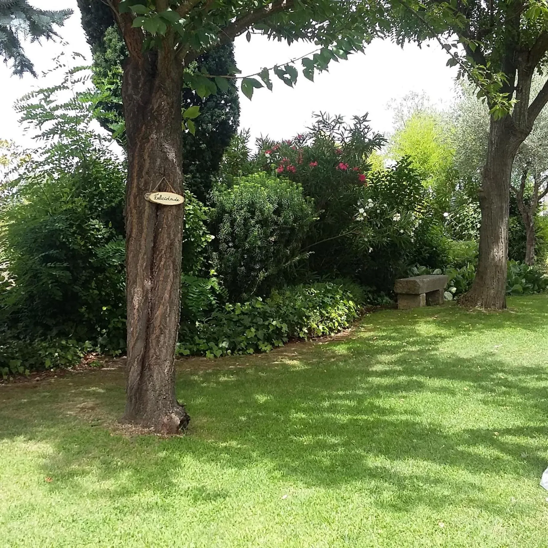 Garden in Forte de São Francisco Hotel Chaves