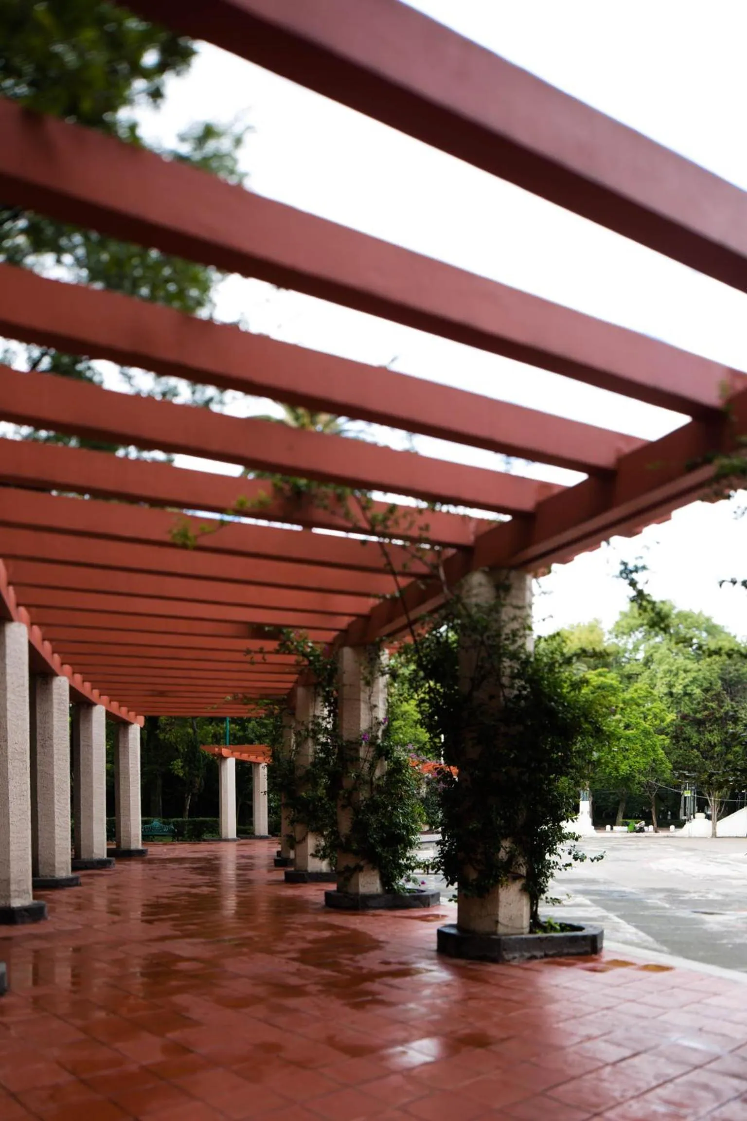 Area and facilities in Hotel Parque México Boutique