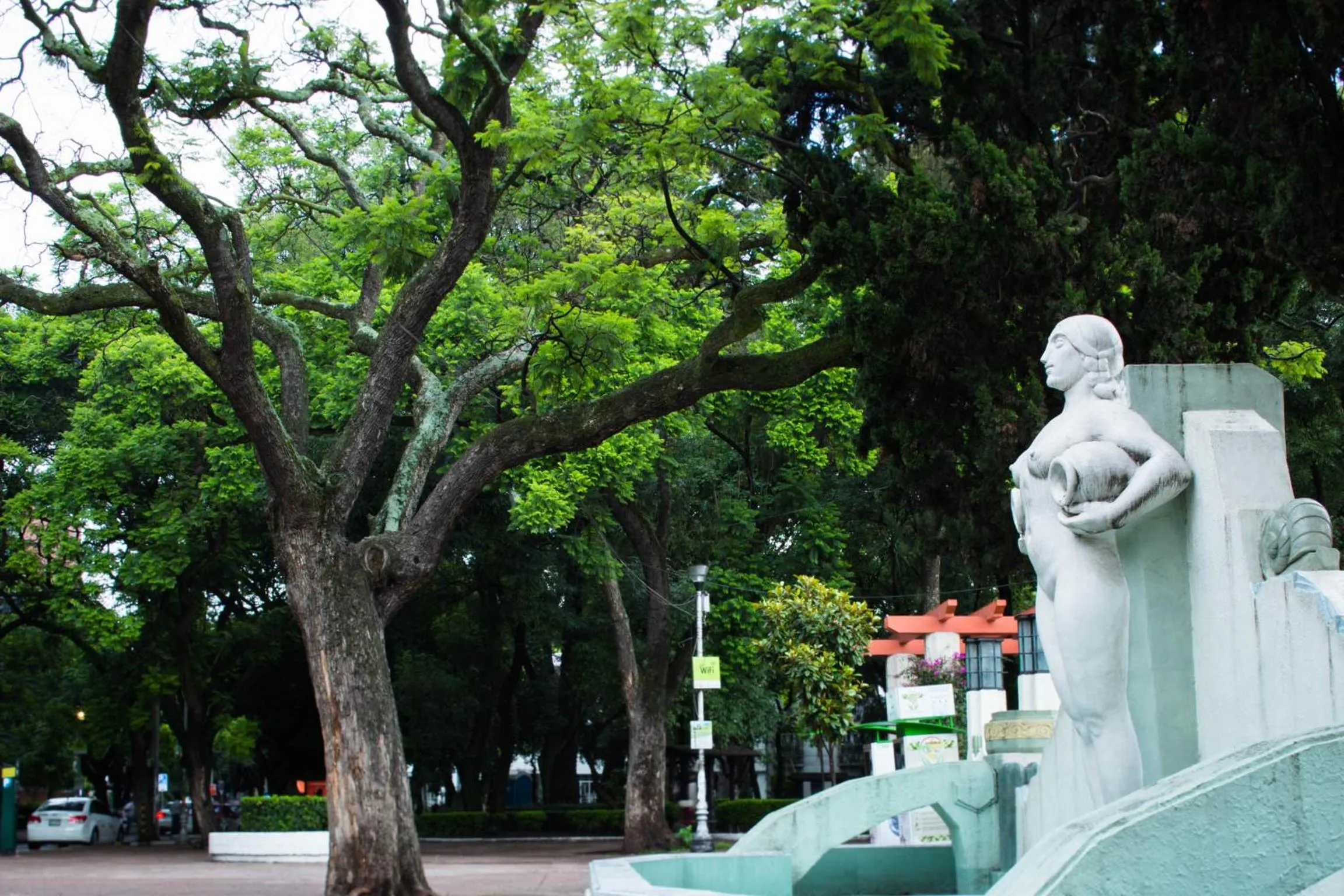 Area and facilities in Hotel Parque México Boutique