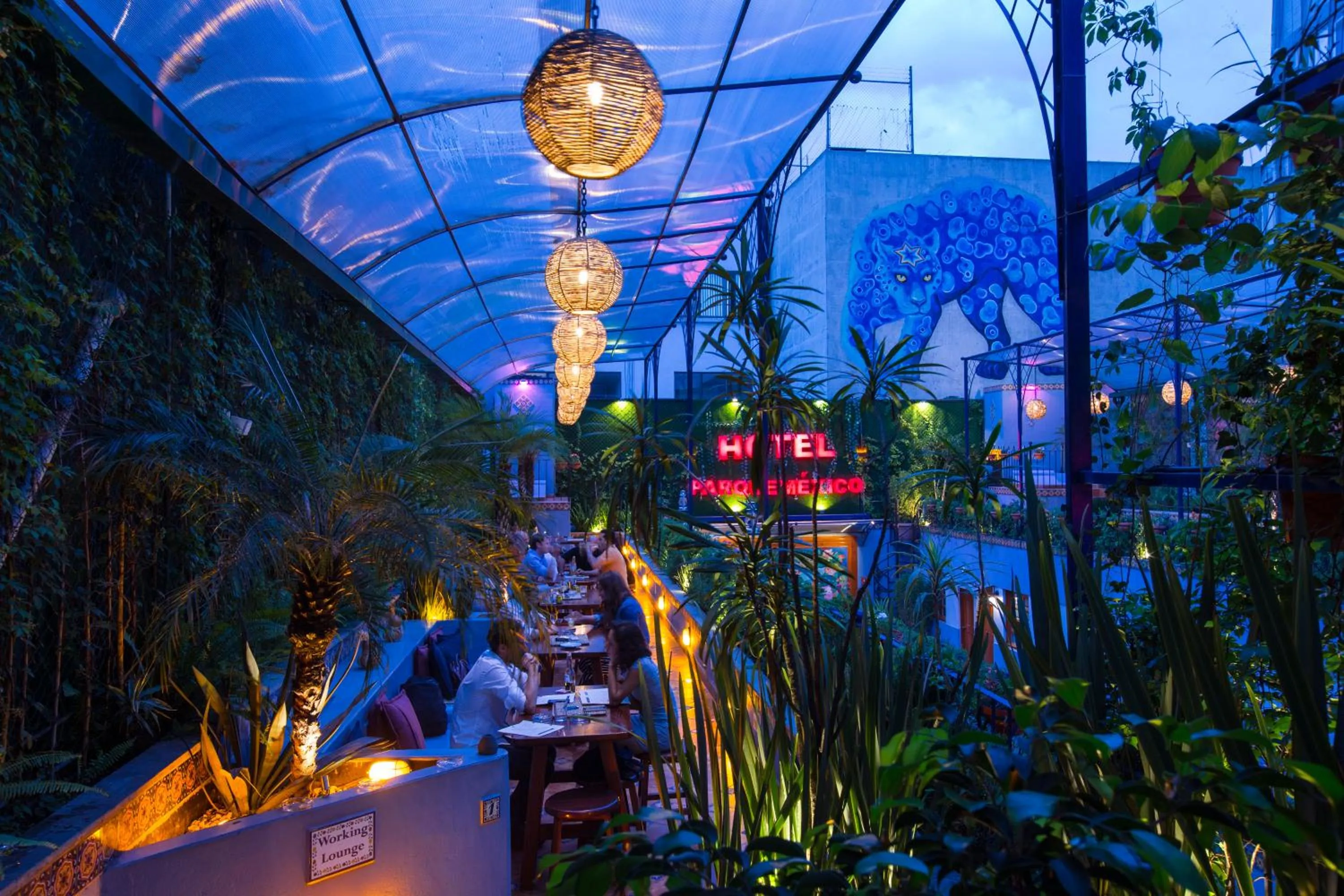 Balcony/Terrace in Hotel Parque México Boutique