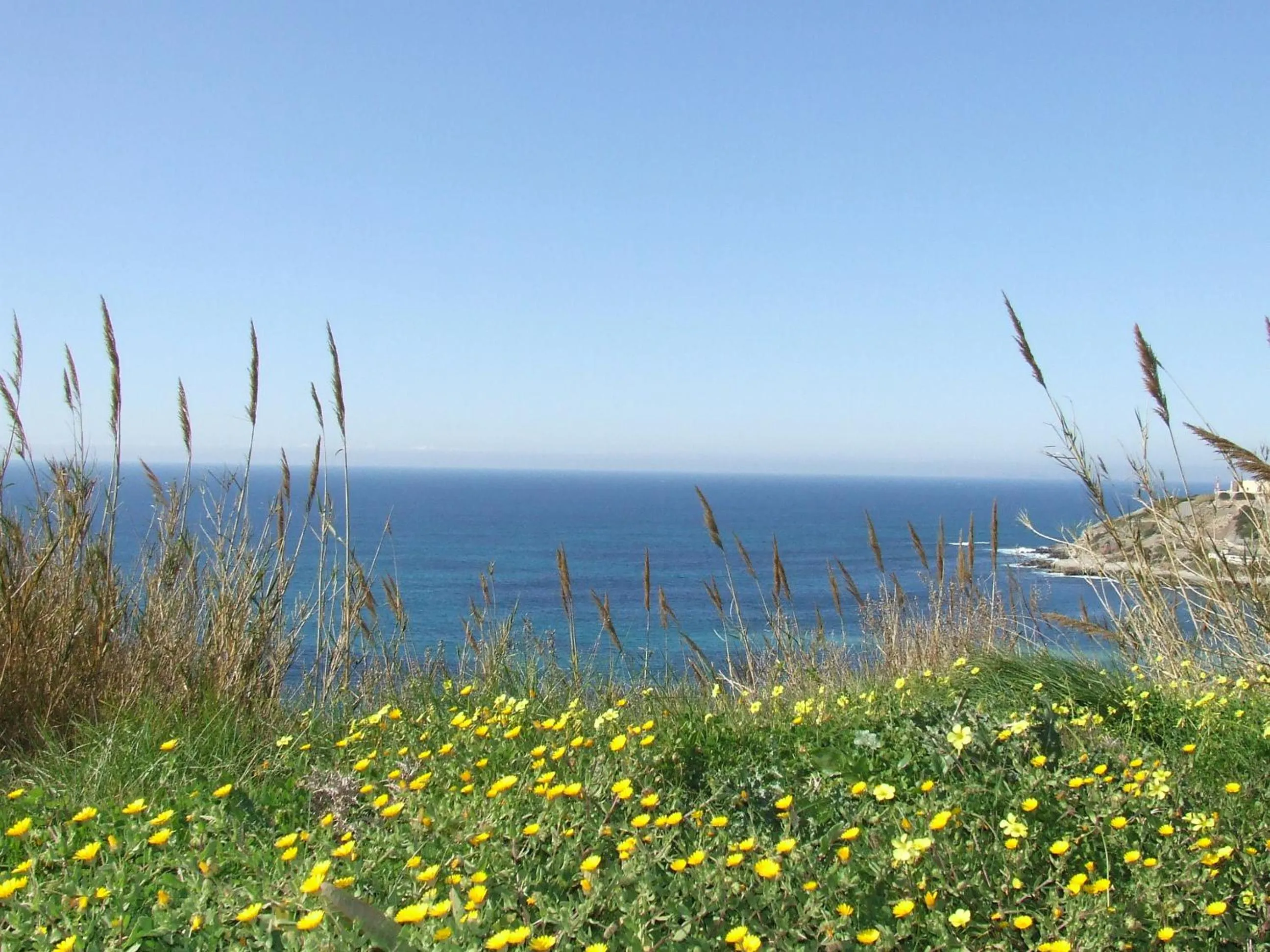 Natural landscape in Hotel Dom Lourenco